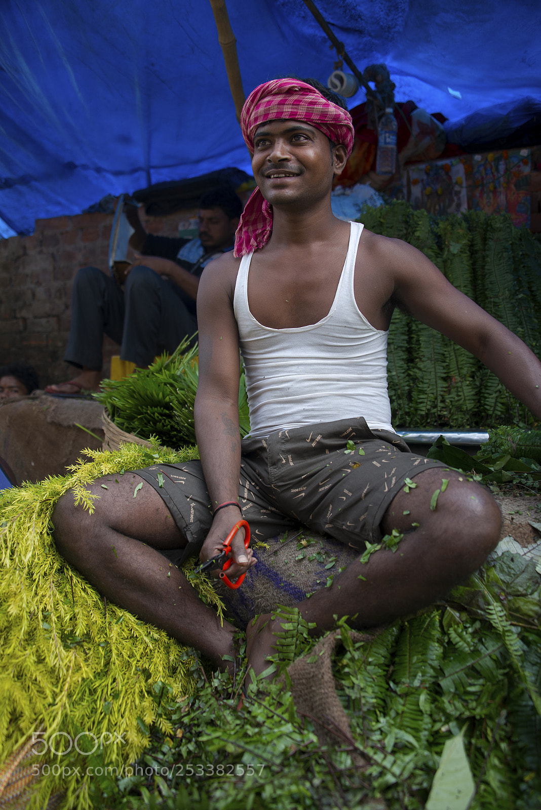 Nikon D800E sample photo. Man working in the photography