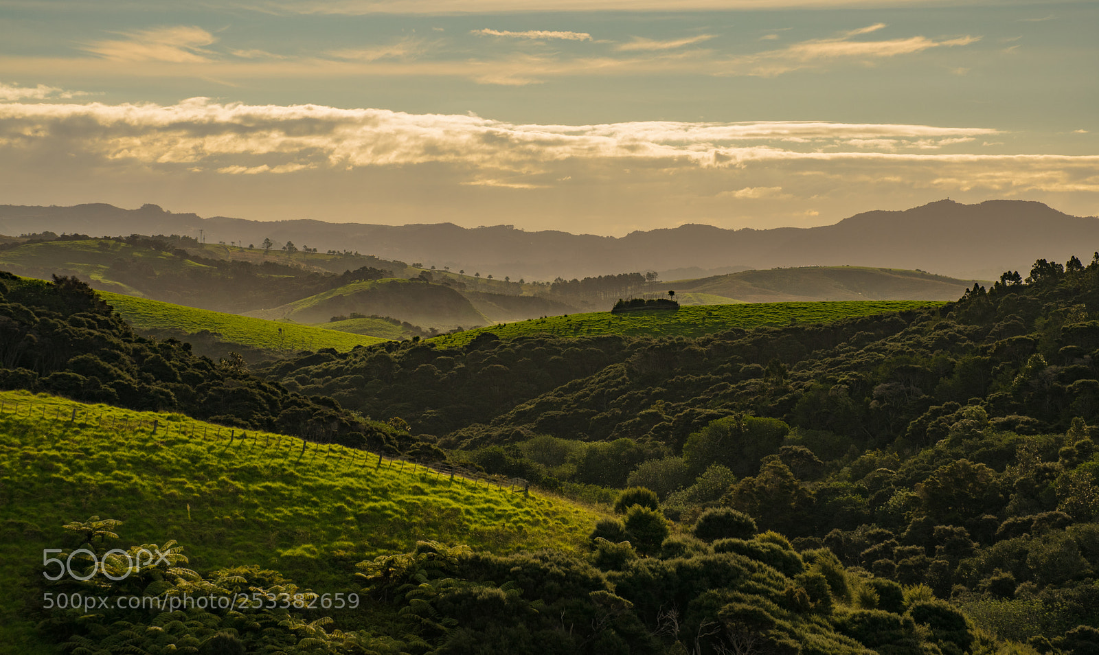Nikon D5300 sample photo. Golden hour at tawharanui photography