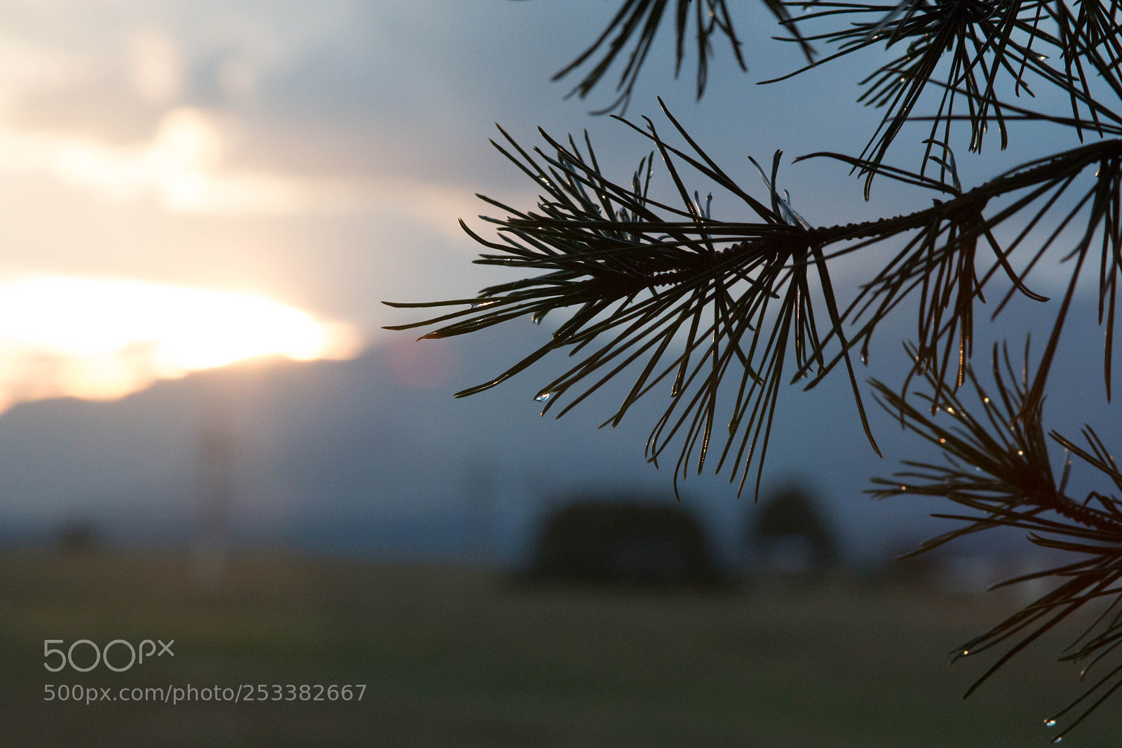 Canon EOS 70D sample photo. After the storm photography