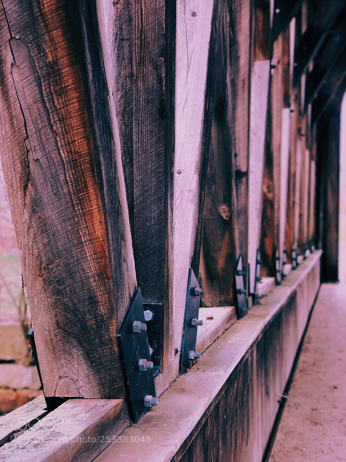 Apple iPhone X sample photo. Untitled photography