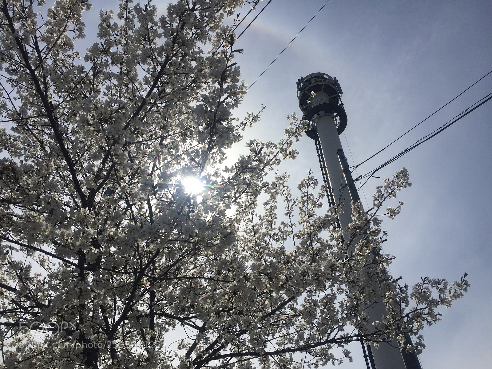 Apple iPhone 6 Plus sample photo. Untitled photography