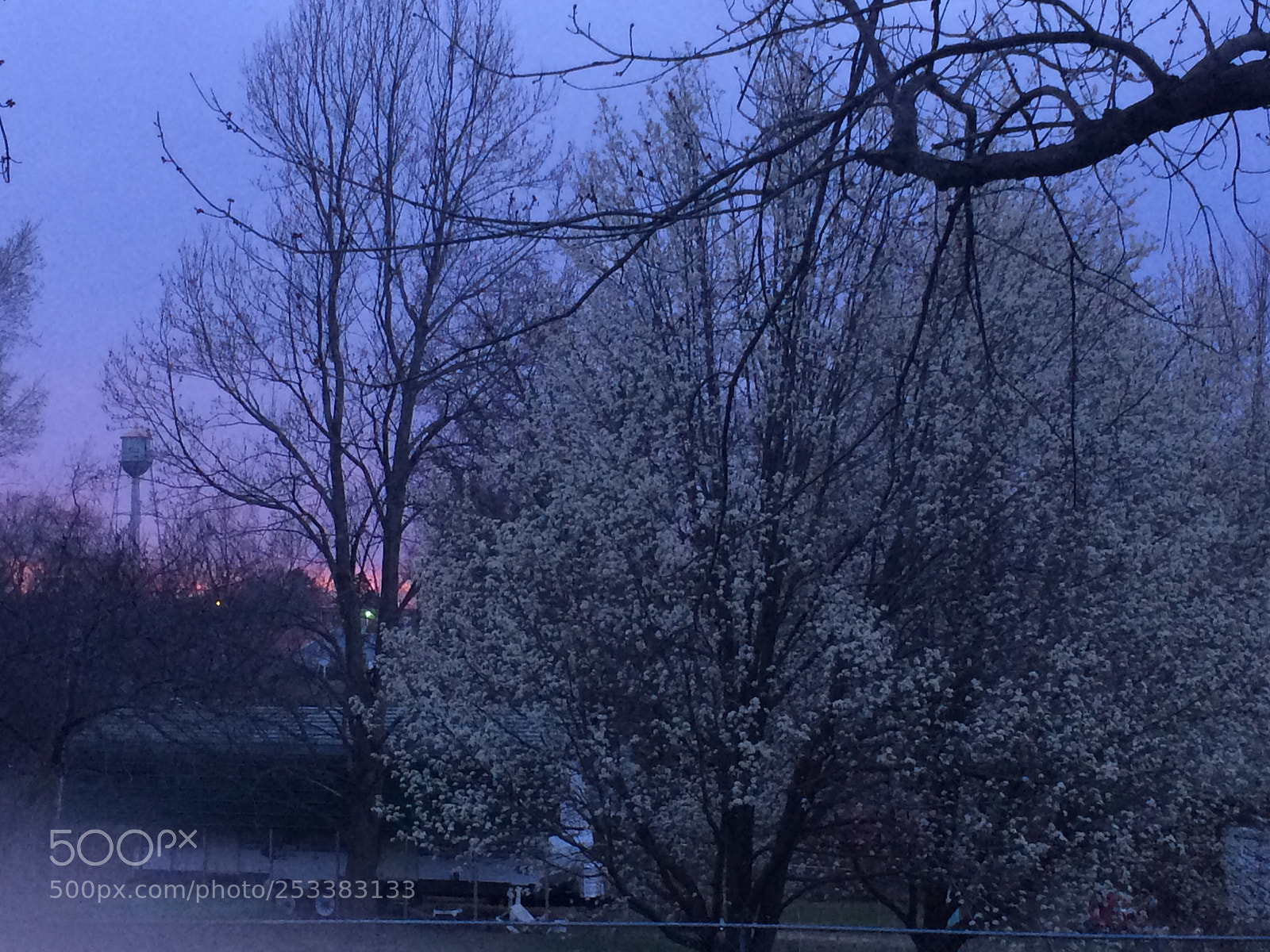 Apple iPhone 5s sample photo. End of winter photography