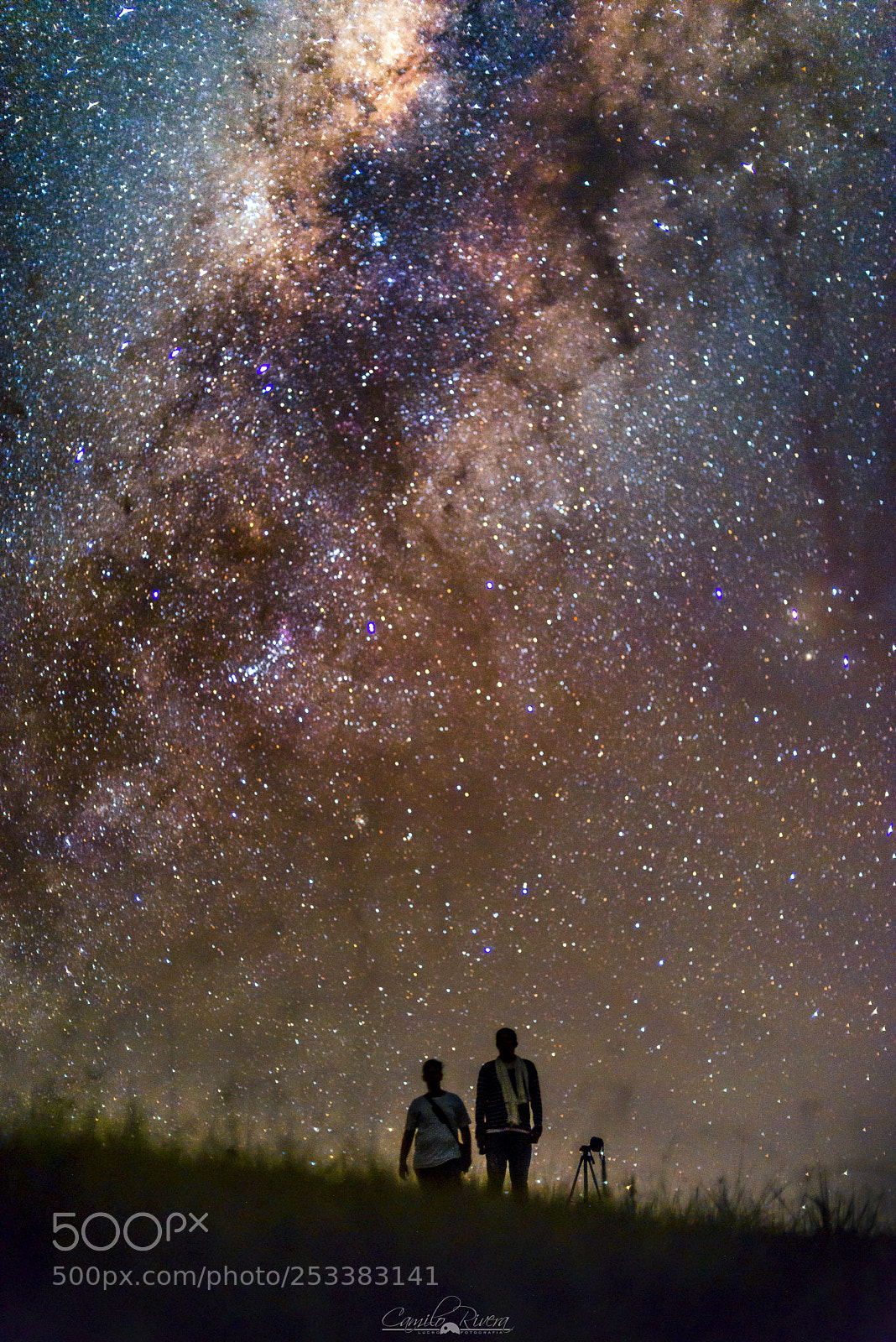 Nikon D810 sample photo. You'll never walk alone photography