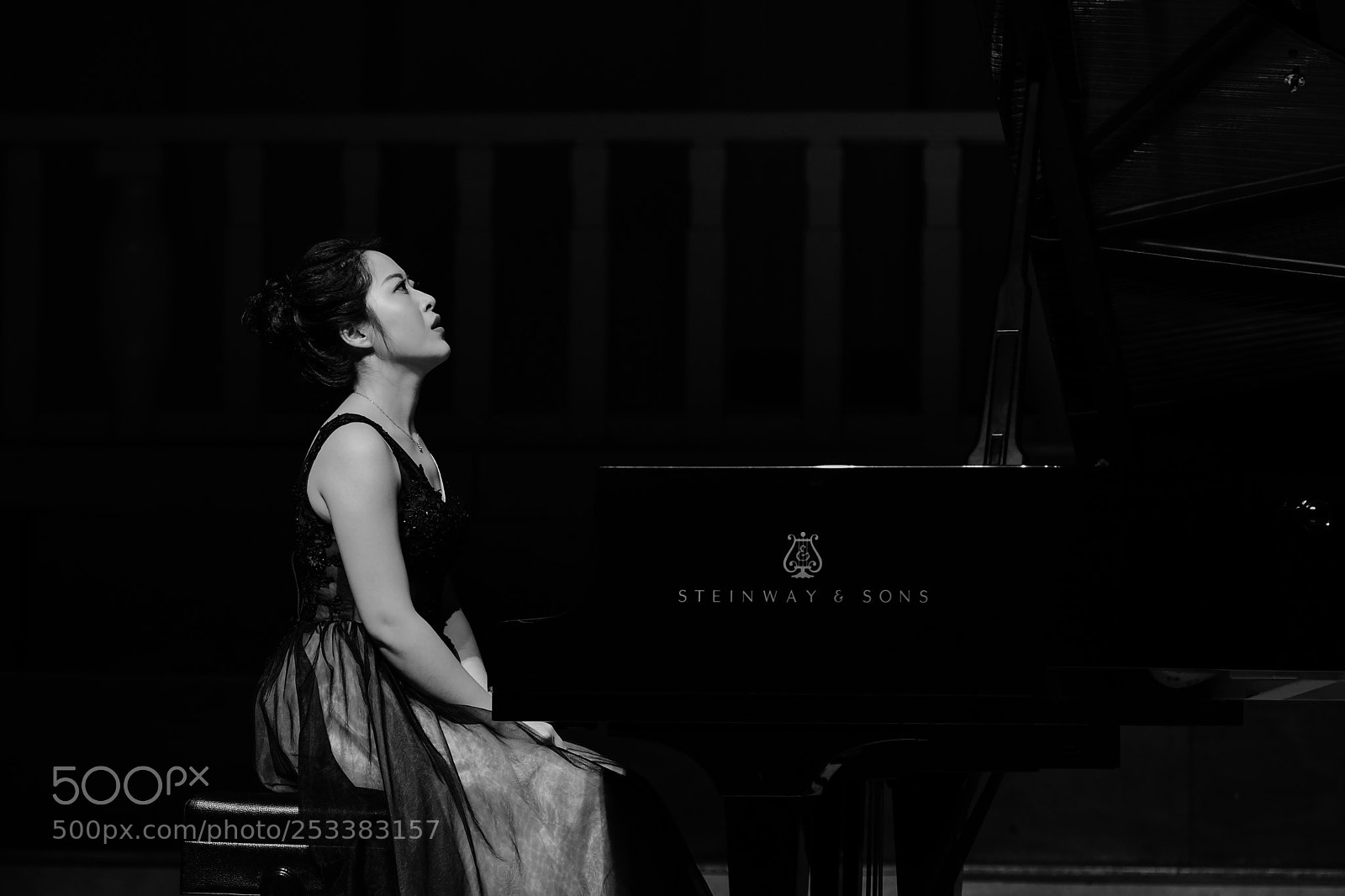 Nikon D500 sample photo. The piano player photography