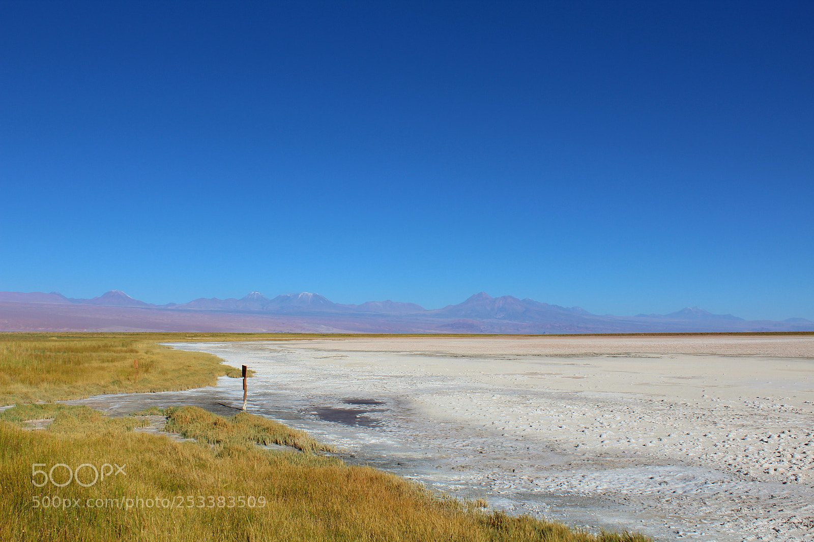 Canon EOS 1200D (EOS Rebel T5 / EOS Kiss X70 / EOS Hi) sample photo. Ojos del salar photography