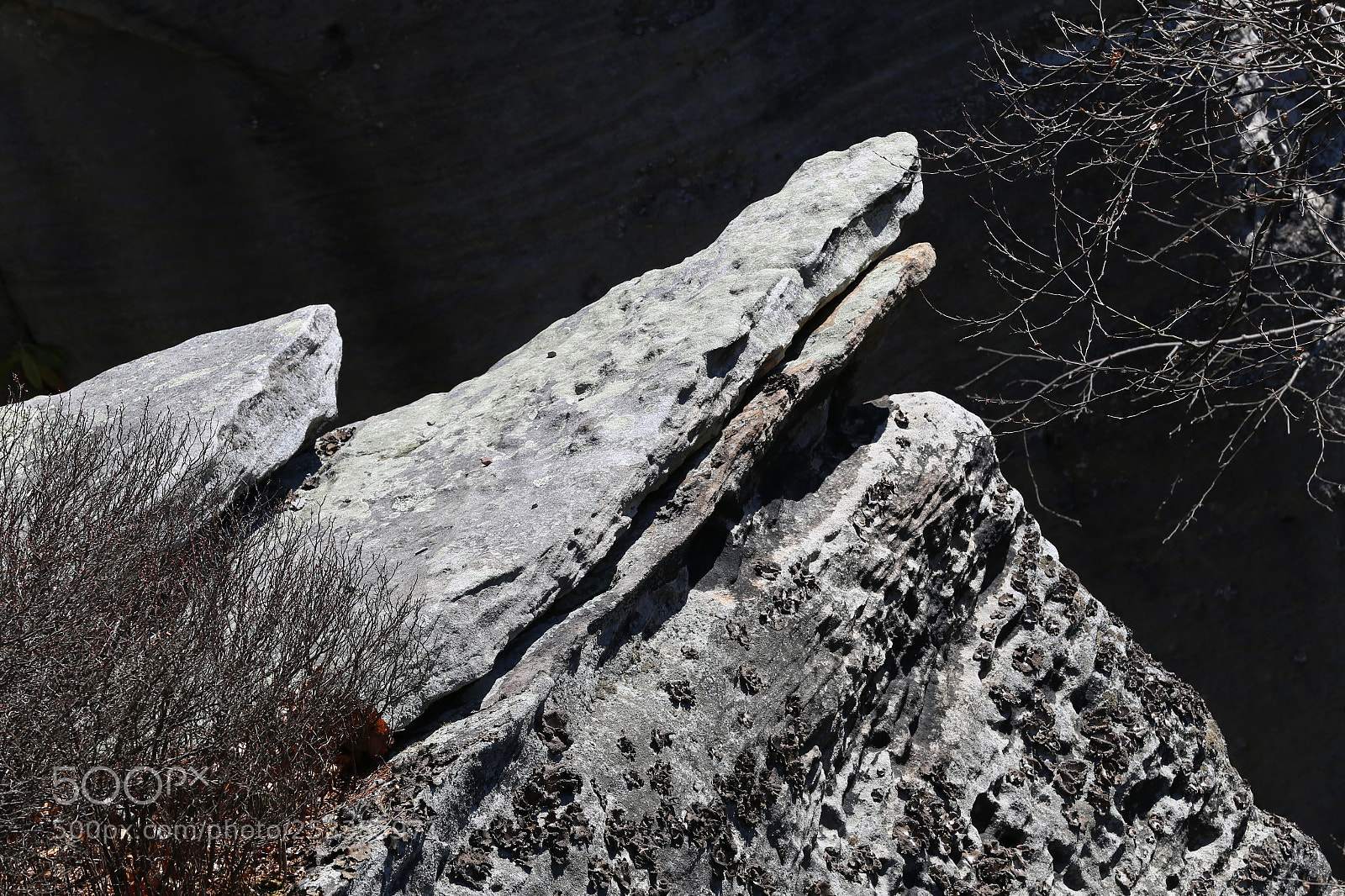 Canon EF 70-200mm F2.8L IS II USM sample photo. Form photography