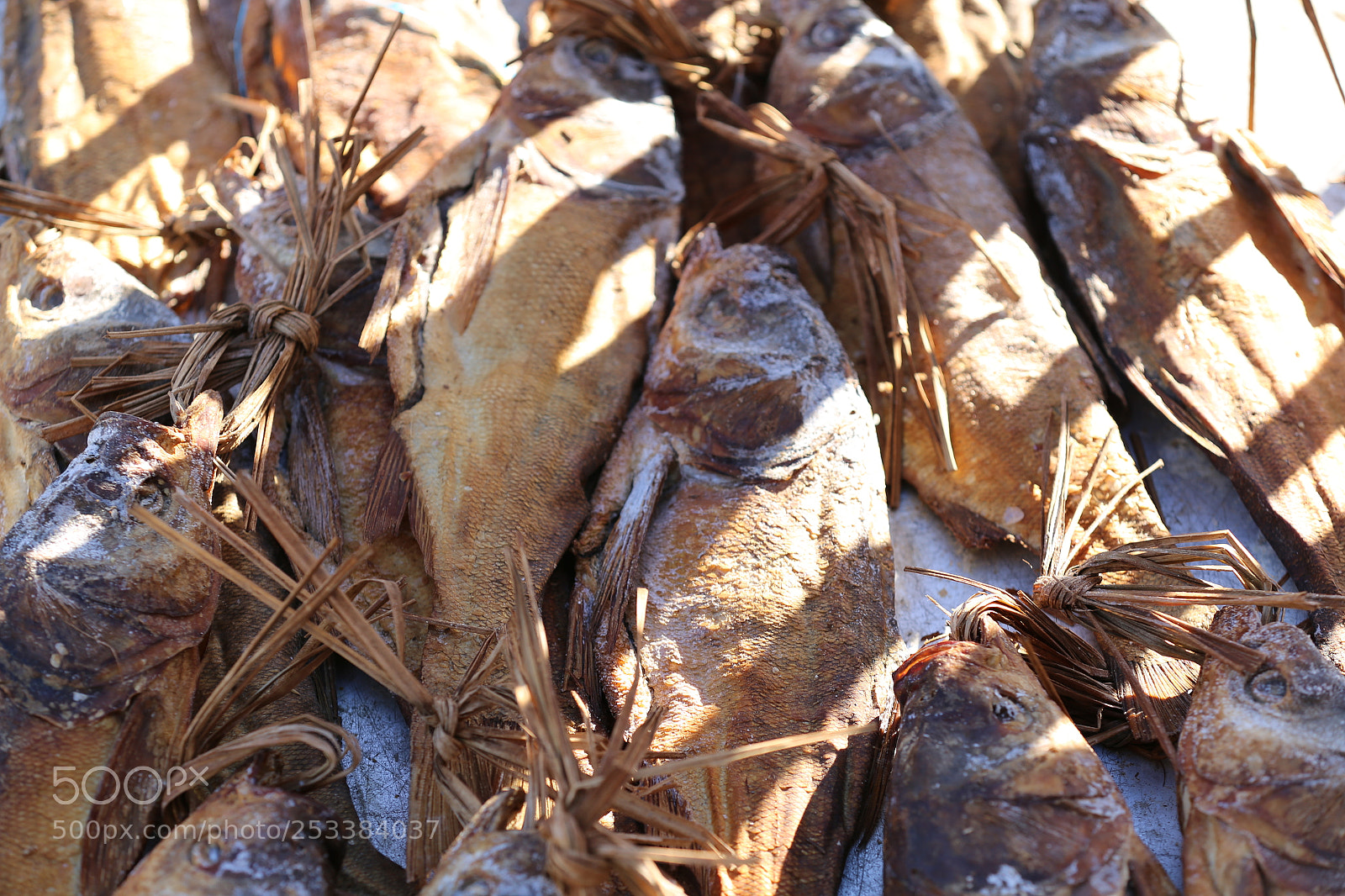 Canon EF 70-200mm F2.8L IS II USM sample photo. Texture photography