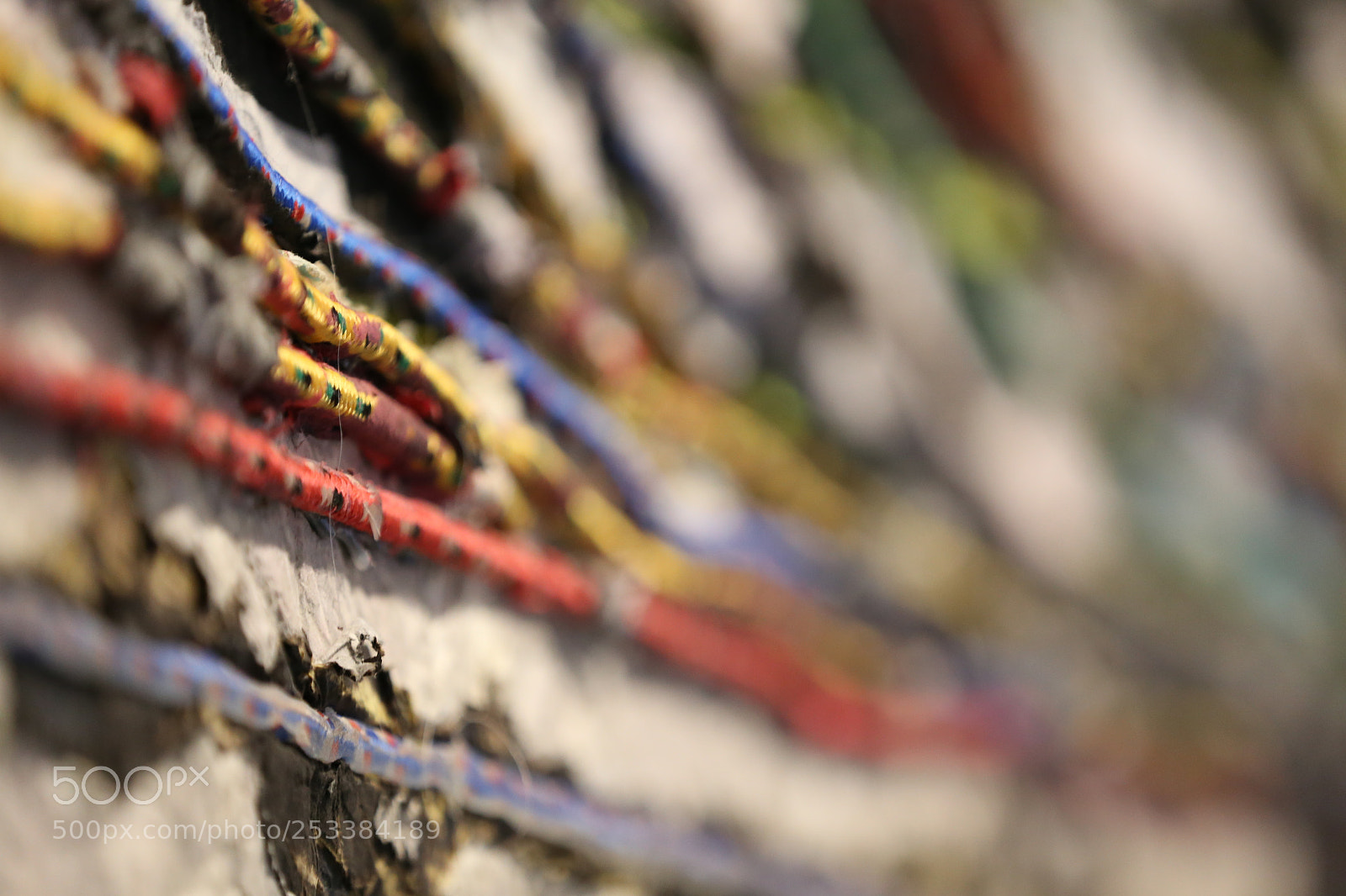 Canon EF 70-200mm F2.8L IS II USM sample photo. Texture photography