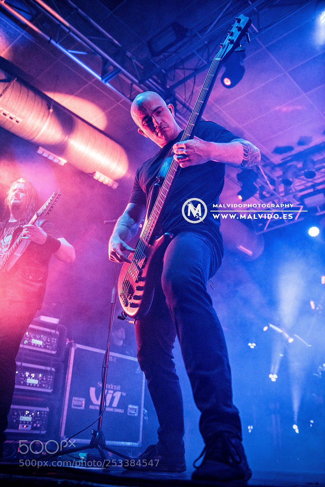 Nikon D850 sample photo. Trivium photography