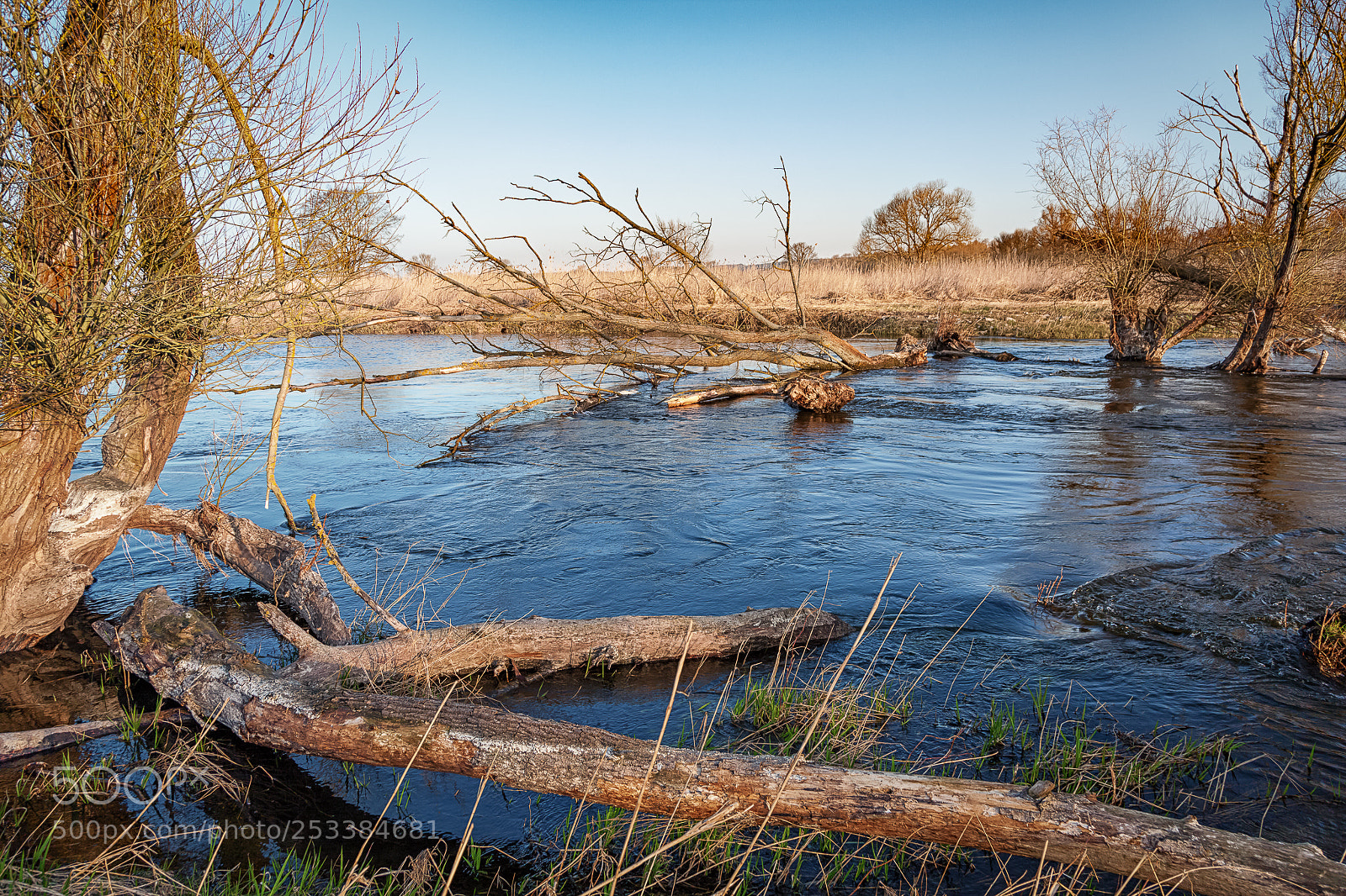 Canon EOS 5D Mark II sample photo. Morning by the water photography