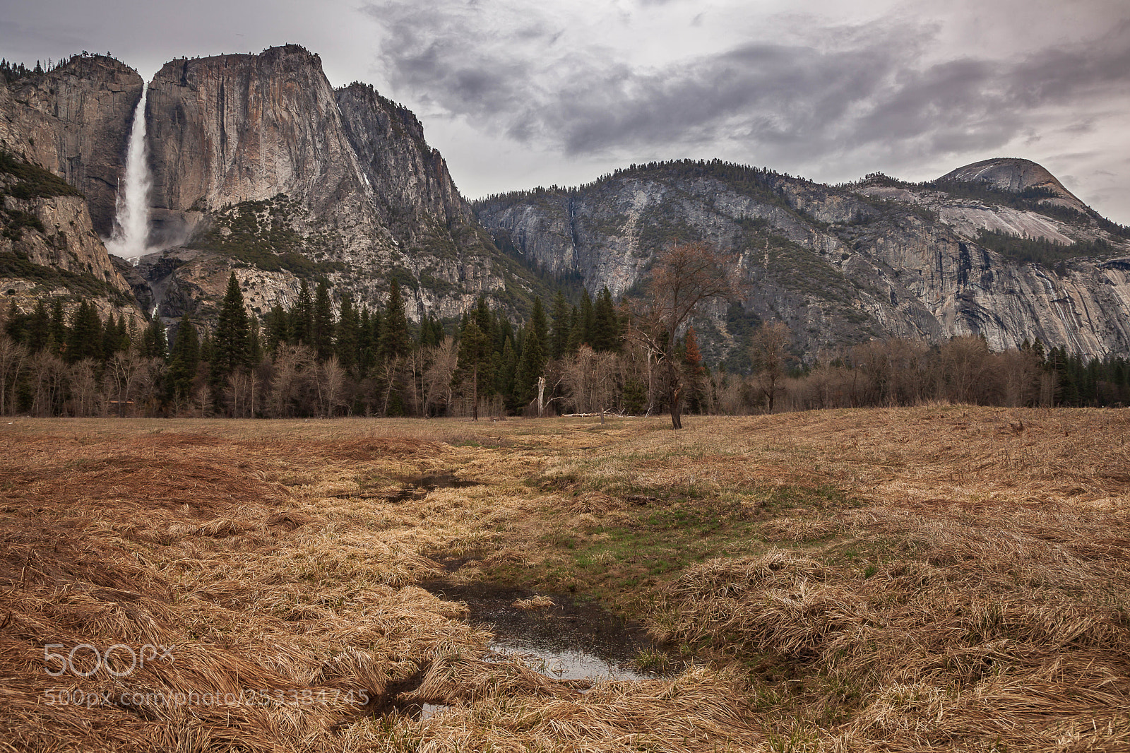 Canon EOS 5D Mark II sample photo. Yosemite valley photography