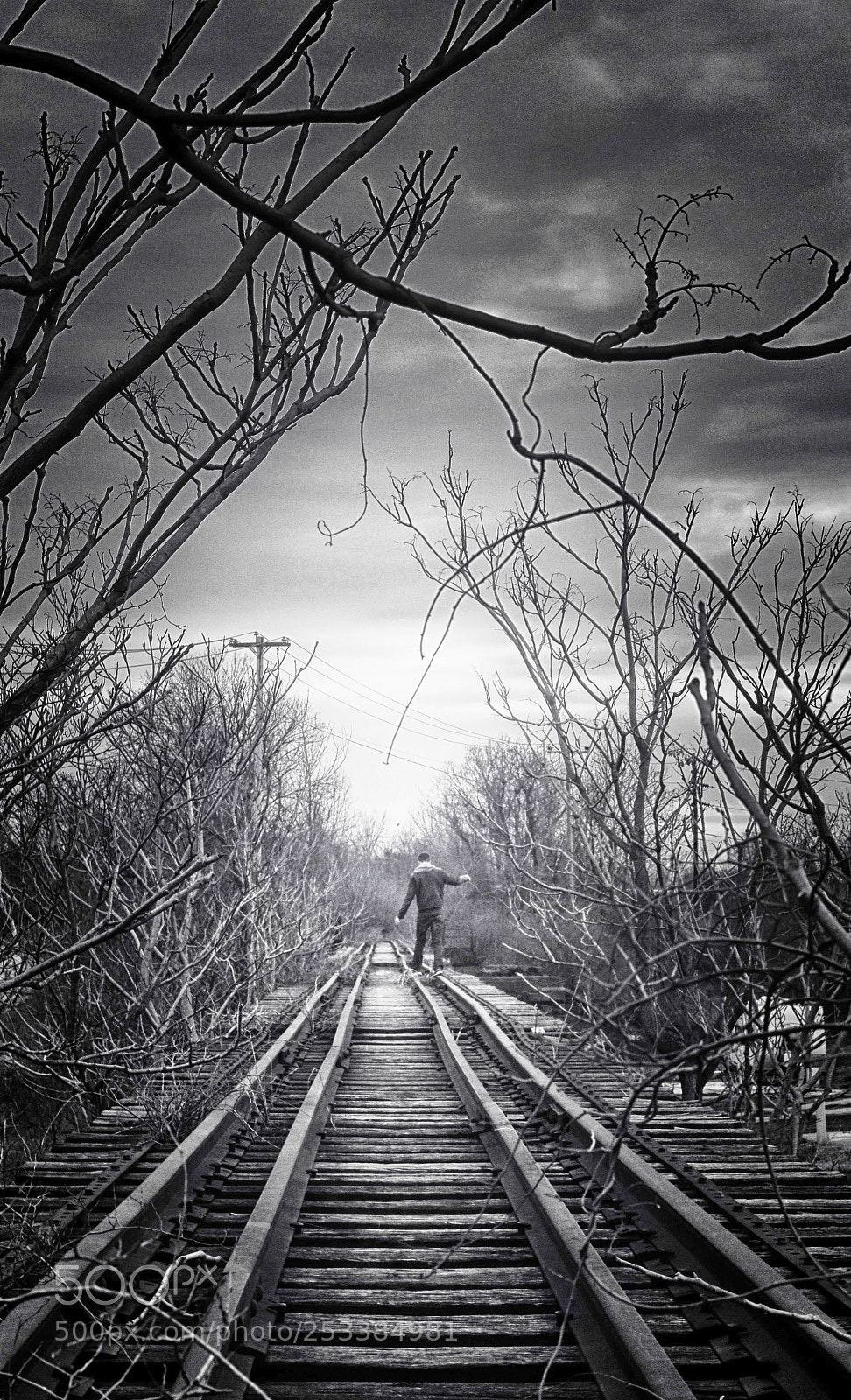 Canon EOS 600D (Rebel EOS T3i / EOS Kiss X5) sample photo. Making tracks photography