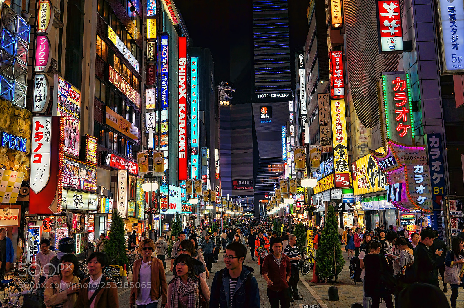Sony Alpha NEX-5N sample photo. Shinjuku by the night photography
