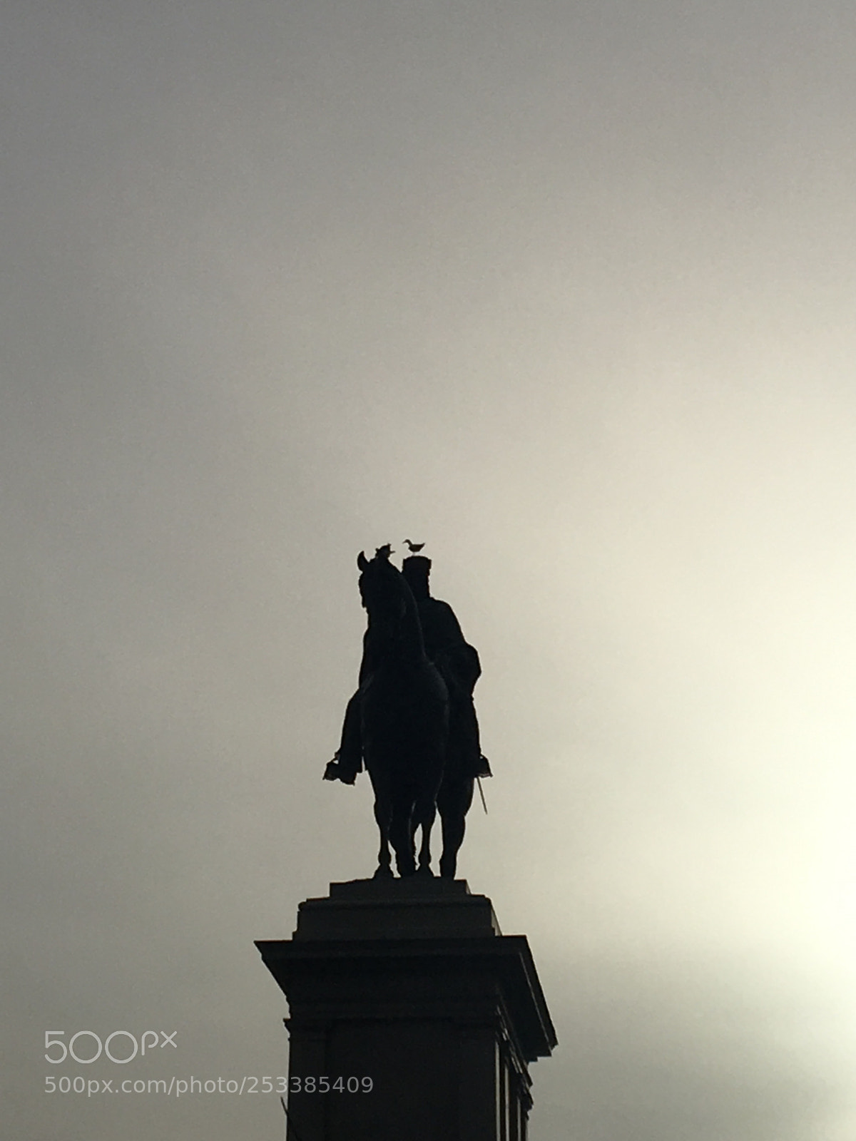 Apple iPhone 6s sample photo. Untitled photography