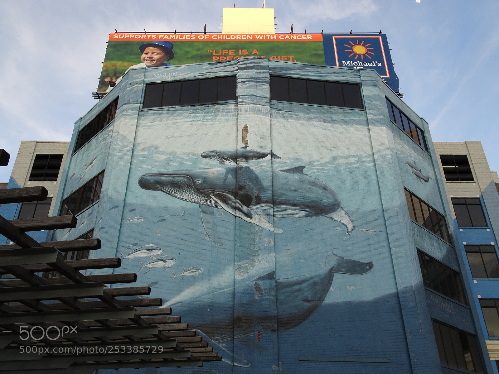 Sony Cyber-shot DSC-HX90V sample photo. Close up of mural photography
