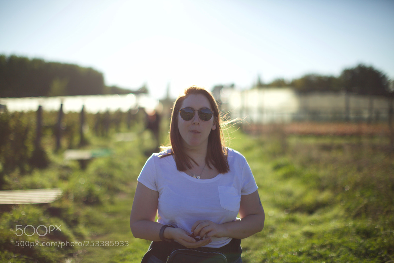 Canon EOS 5D Mark II sample photo. Wild barbu photography
