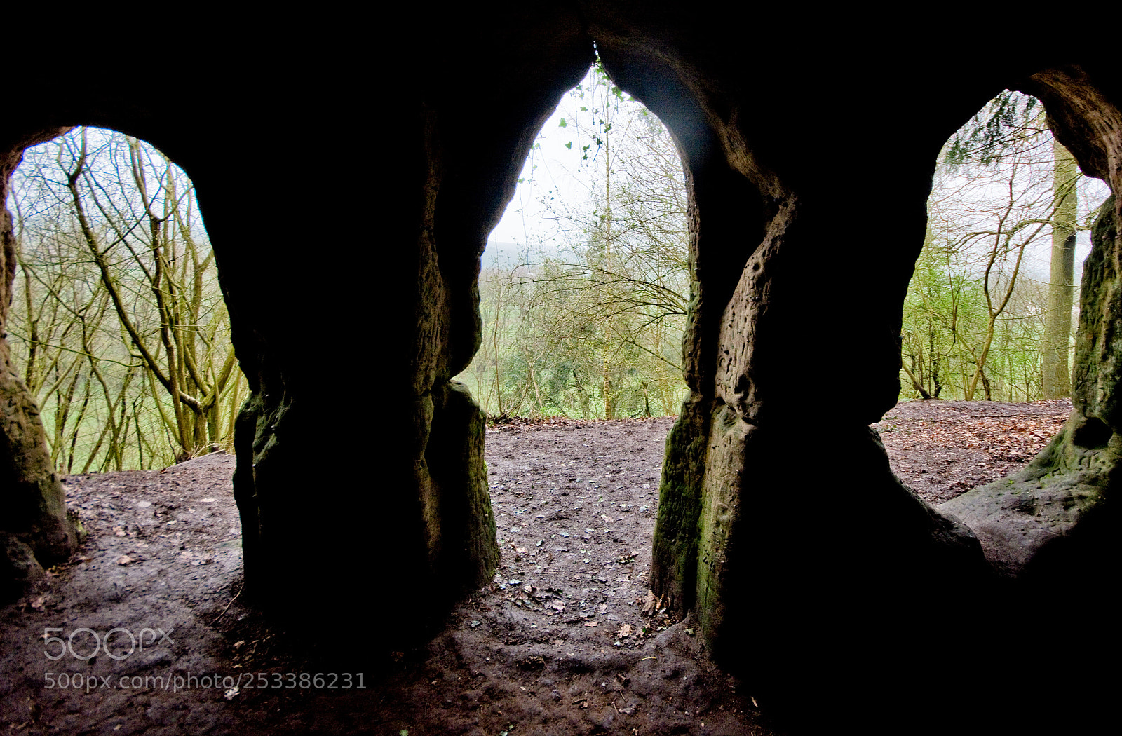 Nikon D7100 sample photo. Trees viewed from cave photography