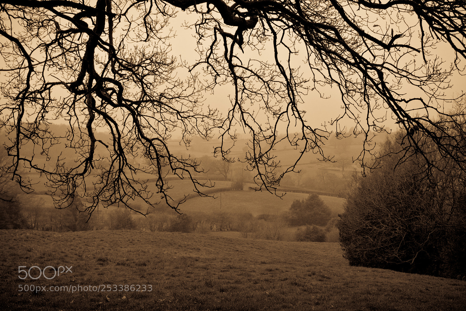 Nikon D7100 sample photo. The dales heavy with photography
