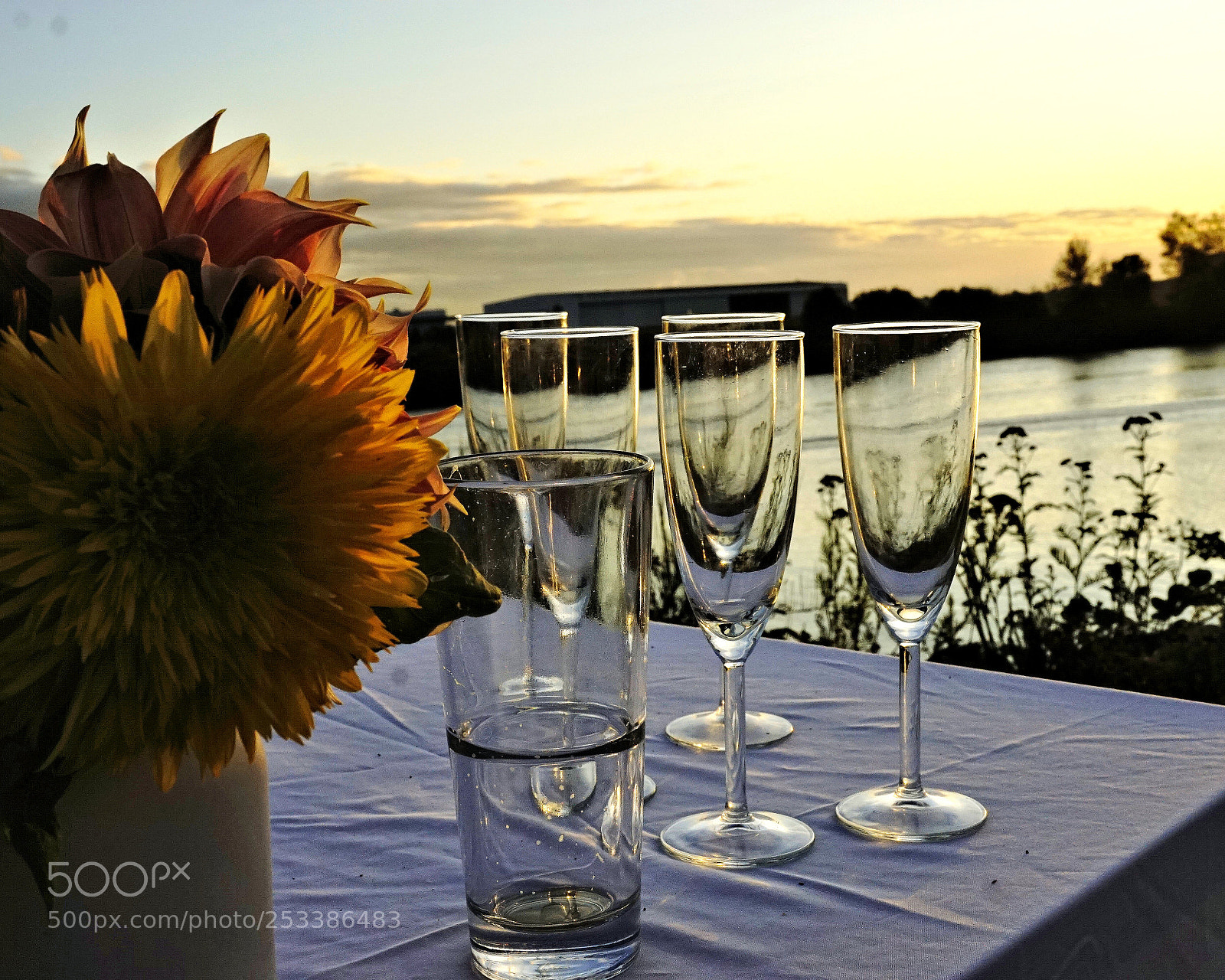 Sony a6000 sample photo. Dsc photography