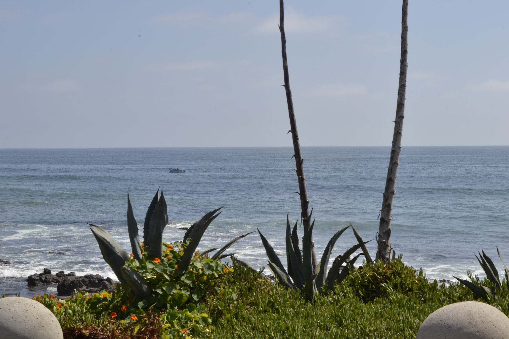 Nikon D3100 sample photo. Blue 1 photography