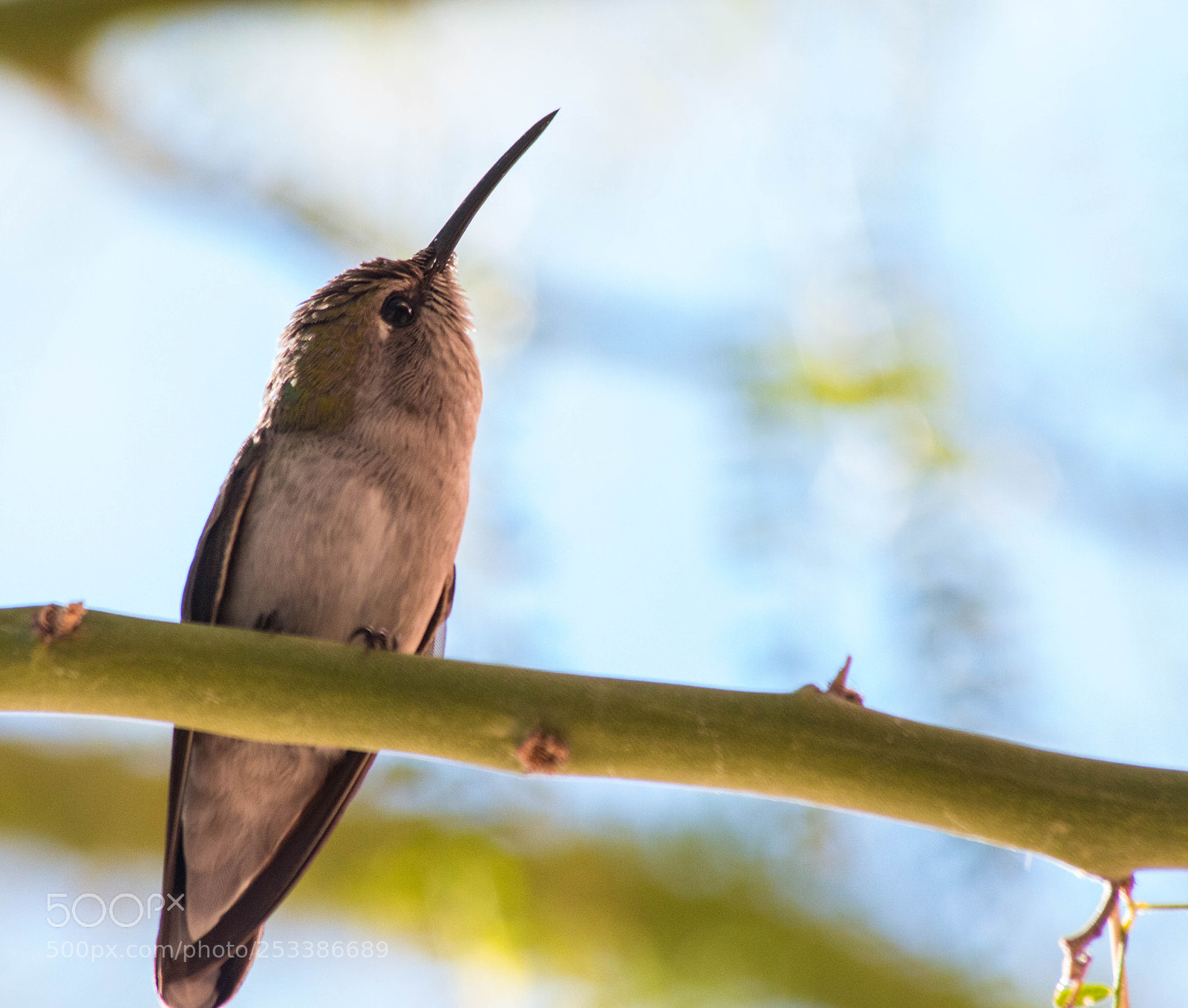 Canon EOS 70D sample photo. Pondering photography