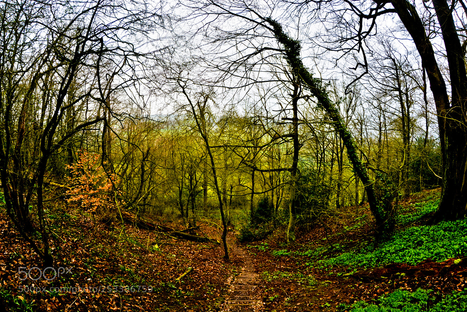 Nikon D7100 sample photo. Layers of colour photography