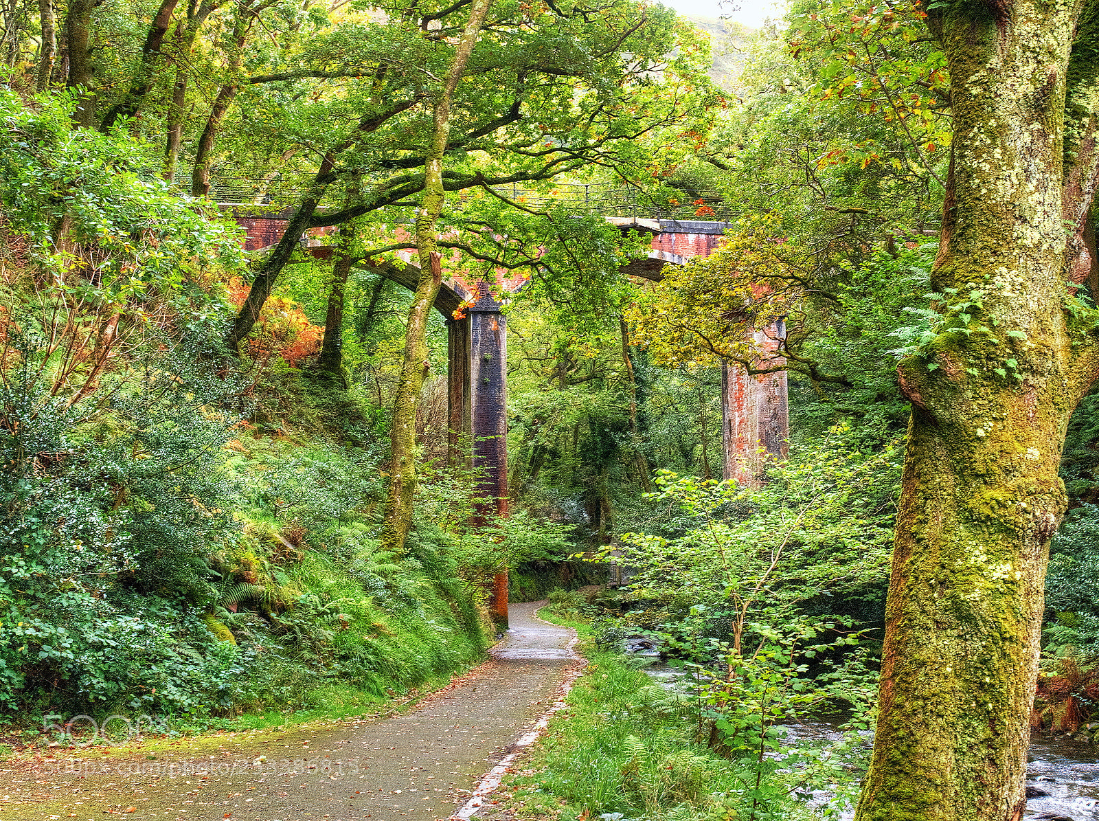 Olympus OM-D E-M1 sample photo. The tal-y-llyn railway bridge photography