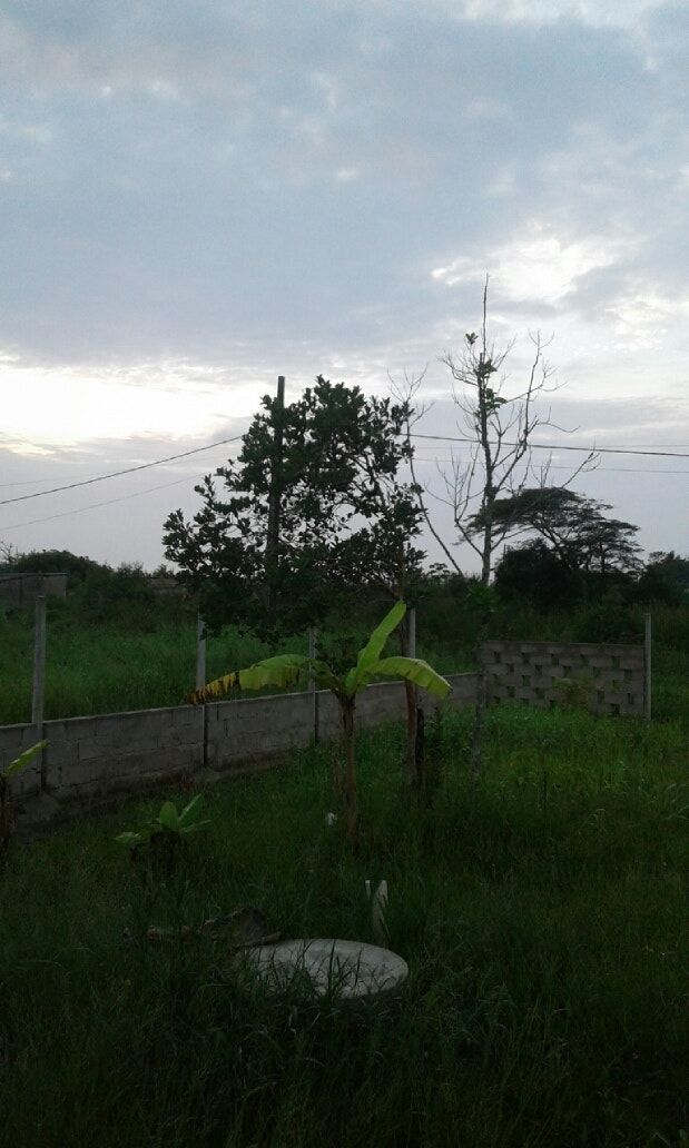 Samsung Galaxy J1(2016) sample photo