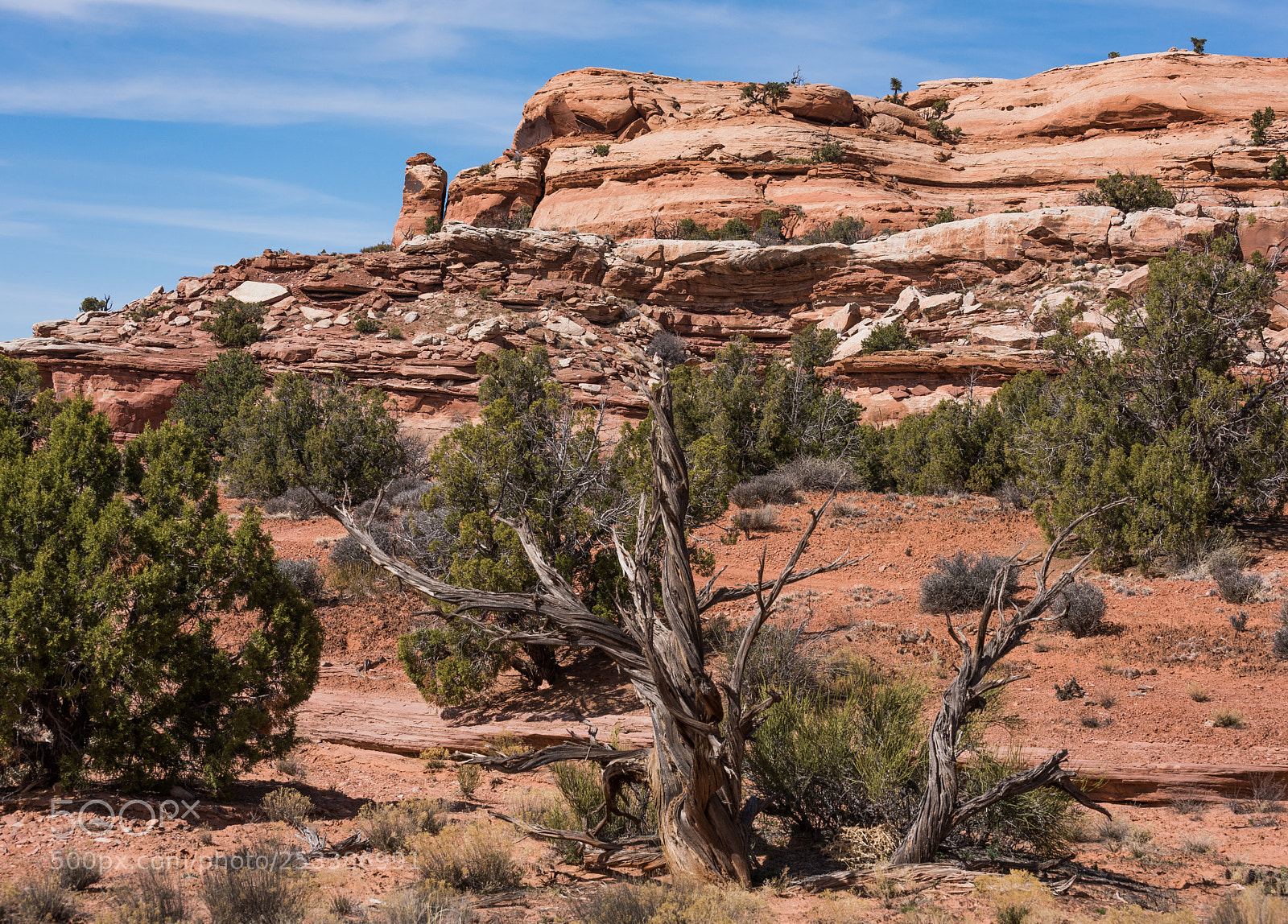 Nikon D810 sample photo. Desert iii photography