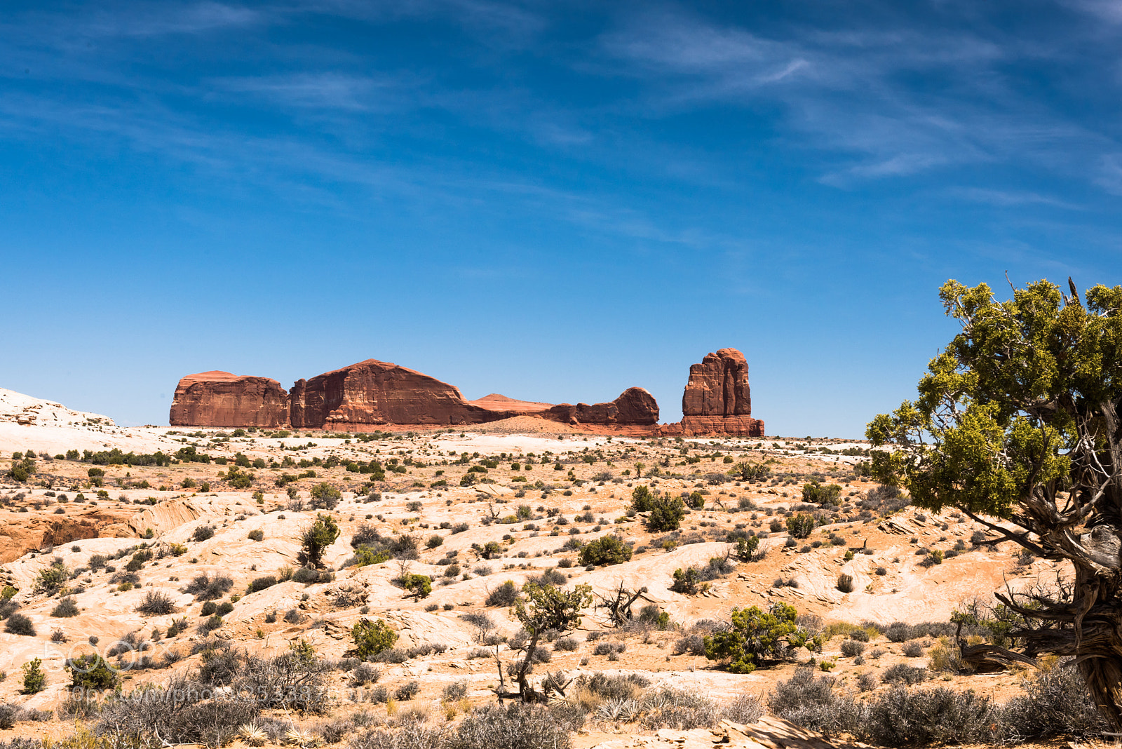 Nikon D810 sample photo. Desert rocks photography