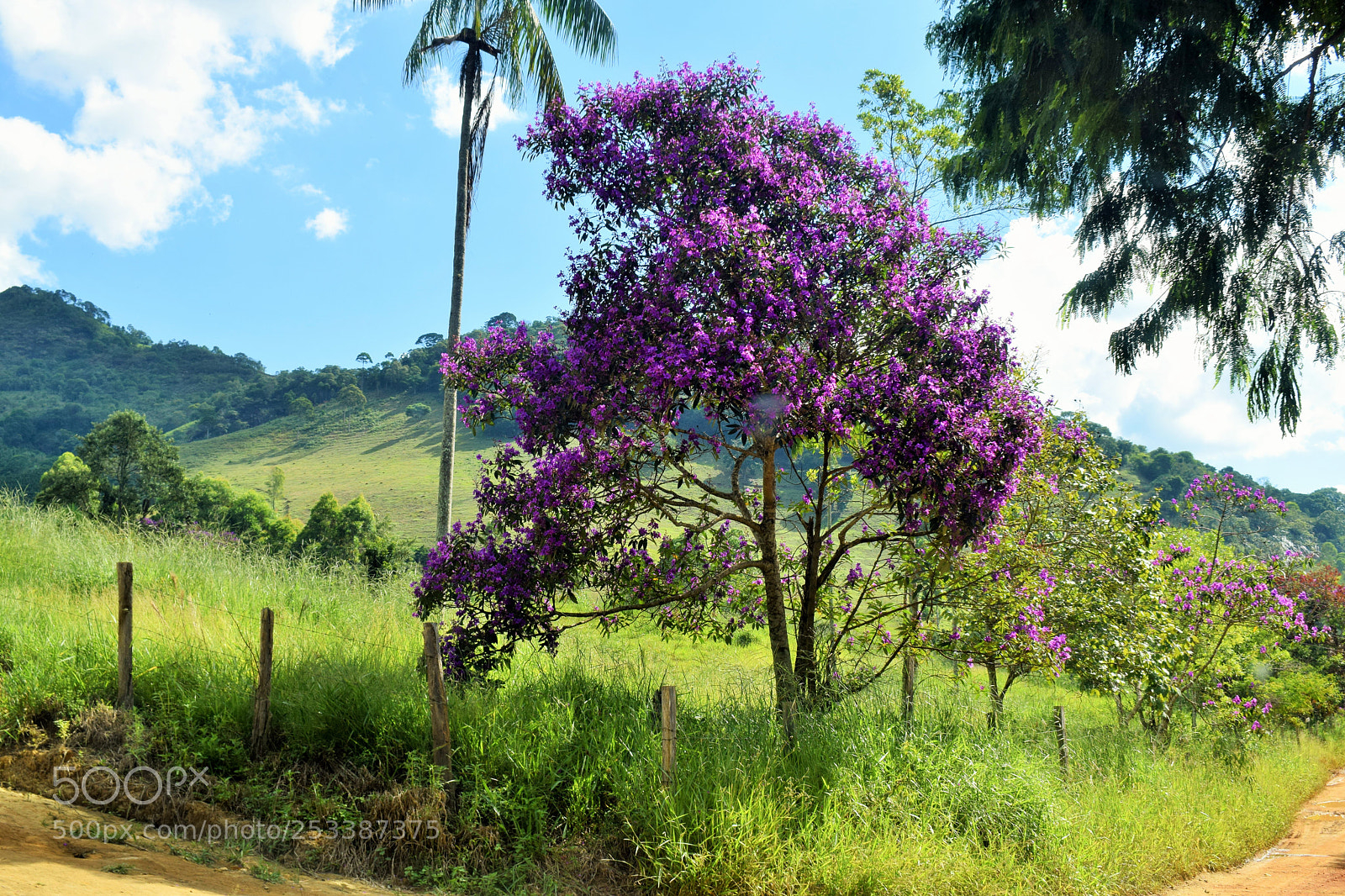 Nikon D5300 sample photo. Quaresma photography