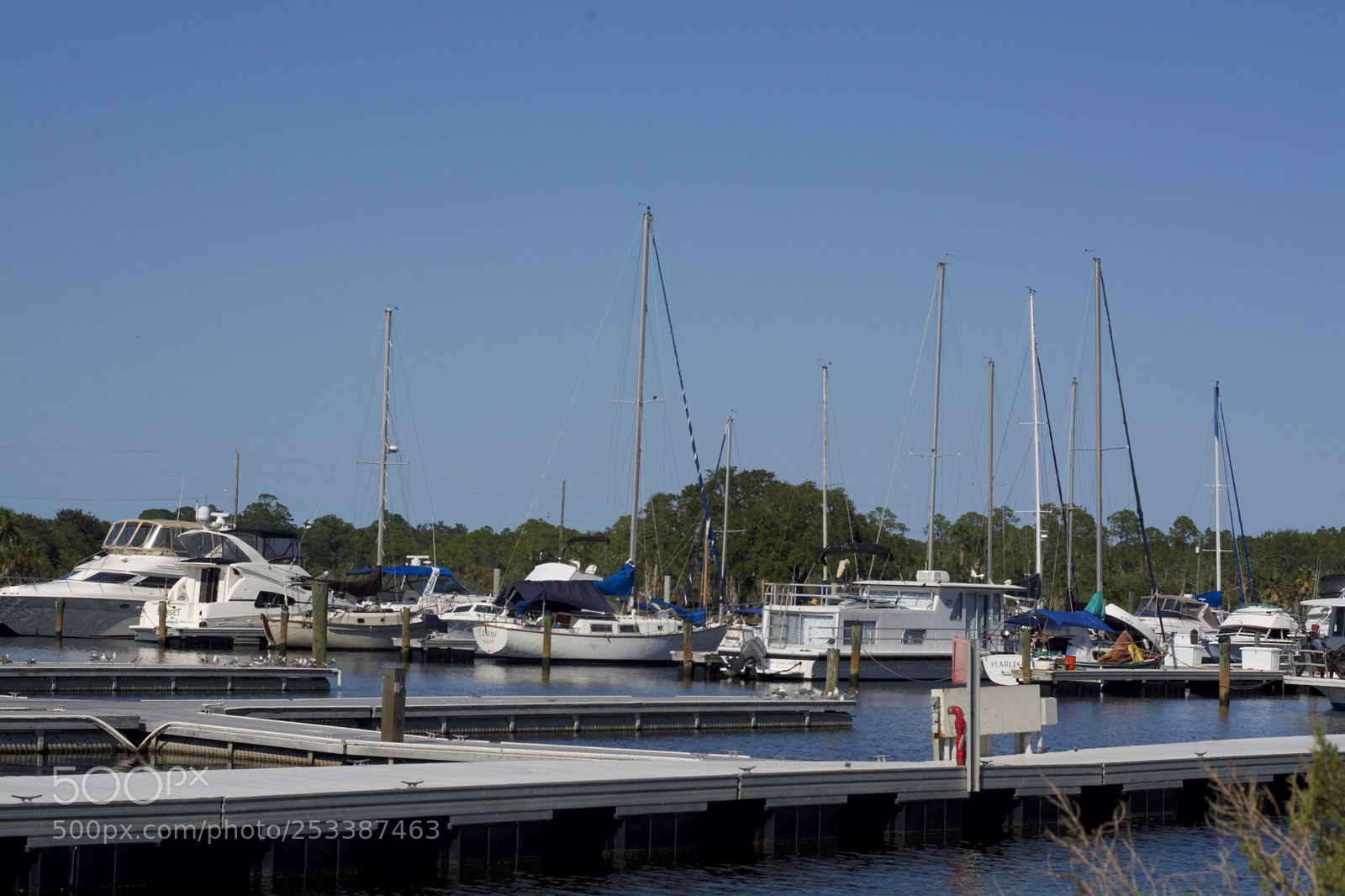 Nikon D7100 sample photo. Jax water front photography
