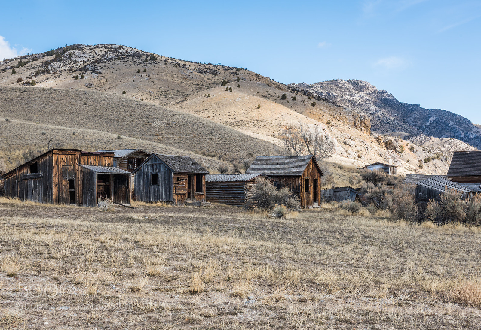 Nikon D810 sample photo. Bachelors row photography