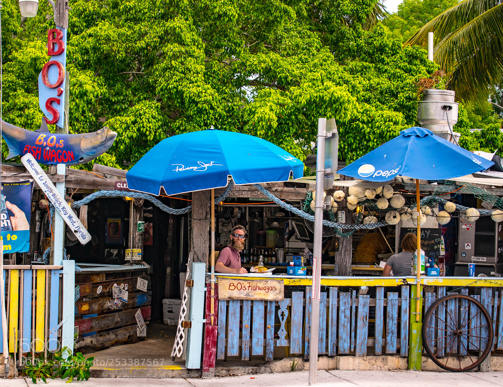 Nikon D5300 sample photo. Bo's fishwagon photography