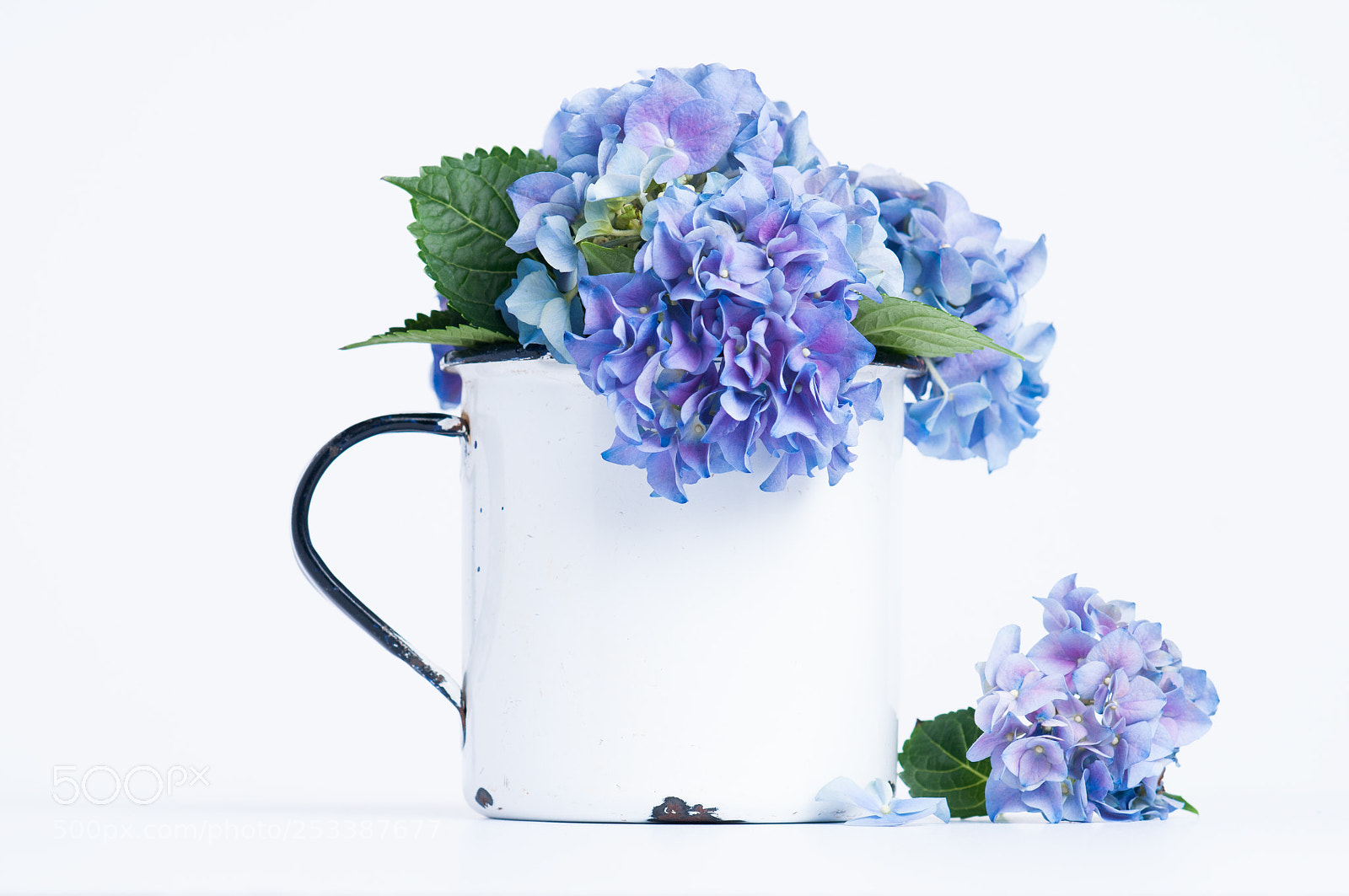 Nikon D300 sample photo. Spring arrangement photography
