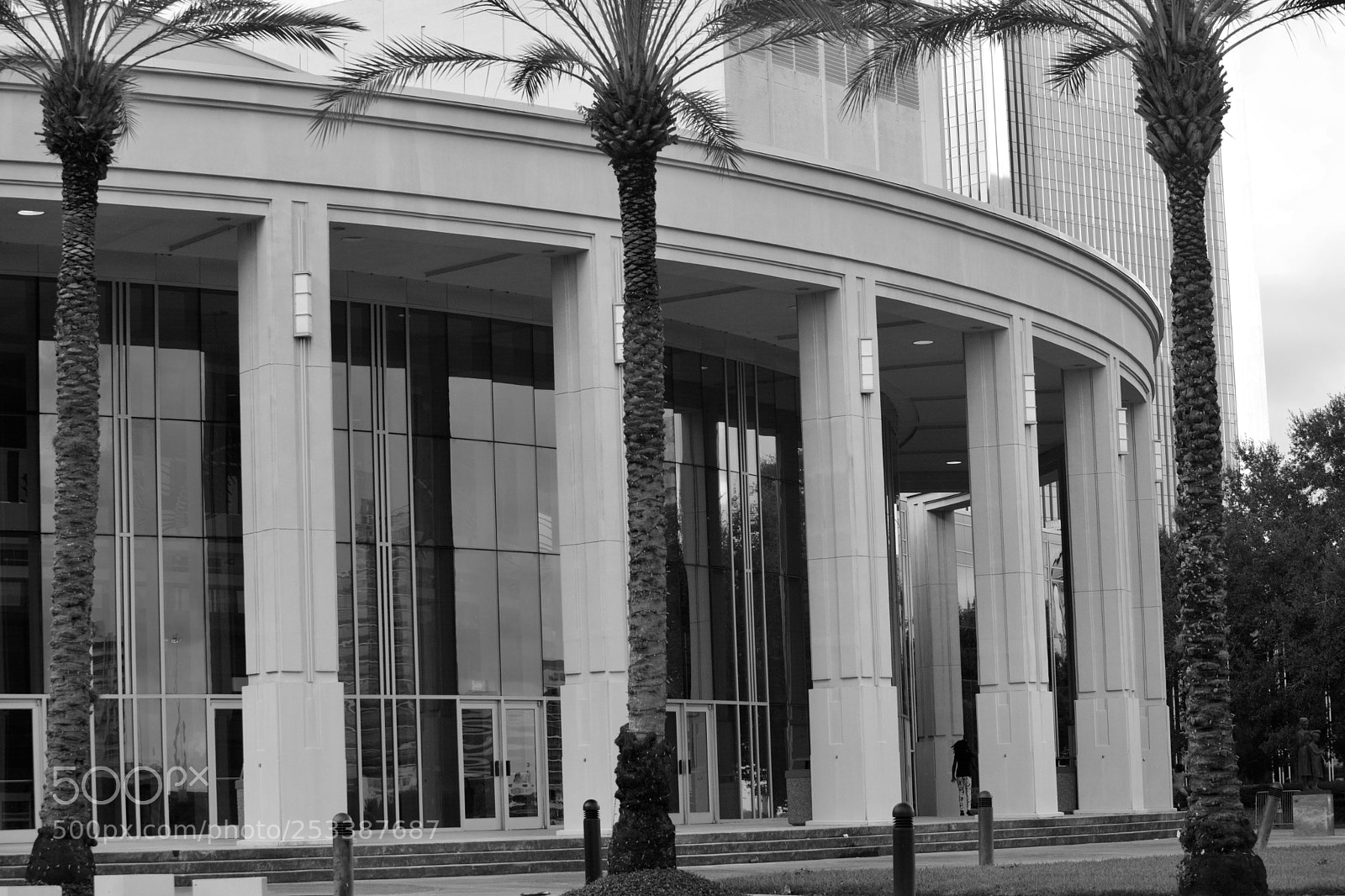 Nikon D7100 sample photo. Downtown jax fl photography