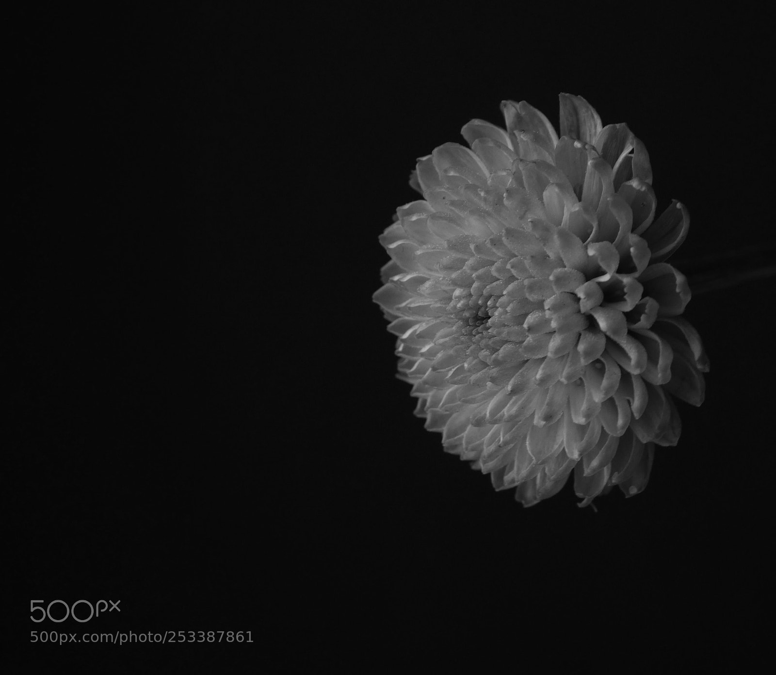 Panasonic Lumix DMC-GX8 sample photo. Untitled photography