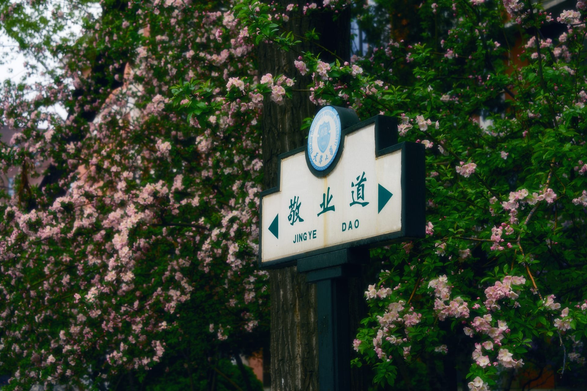 Nikon D800 sample photo. Cherryapple road photography