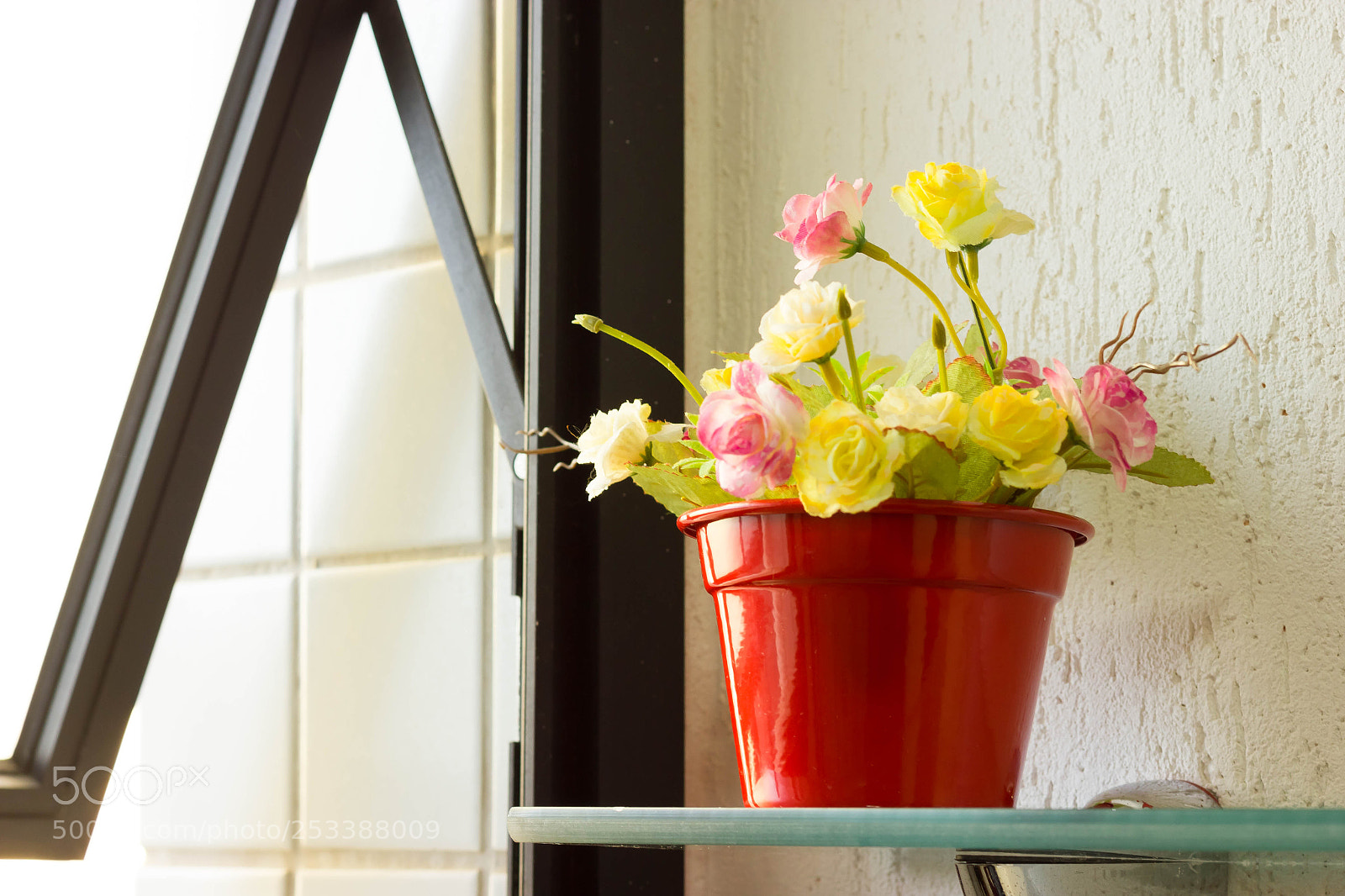 Canon EOS 550D (EOS Rebel T2i / EOS Kiss X4) sample photo. Flower in the window photography