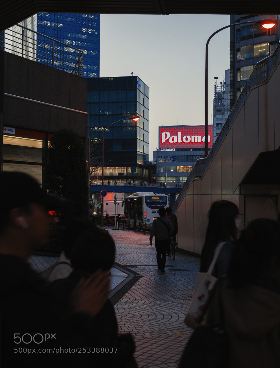 Canon EOS 5D Mark II sample photo. 7030 photography