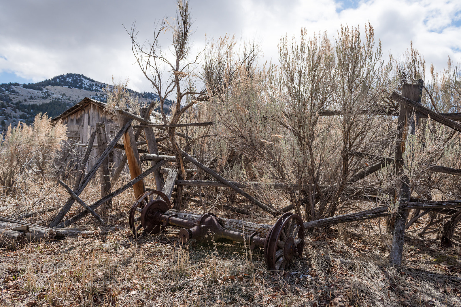 Nikon D810 sample photo. Old axle photography