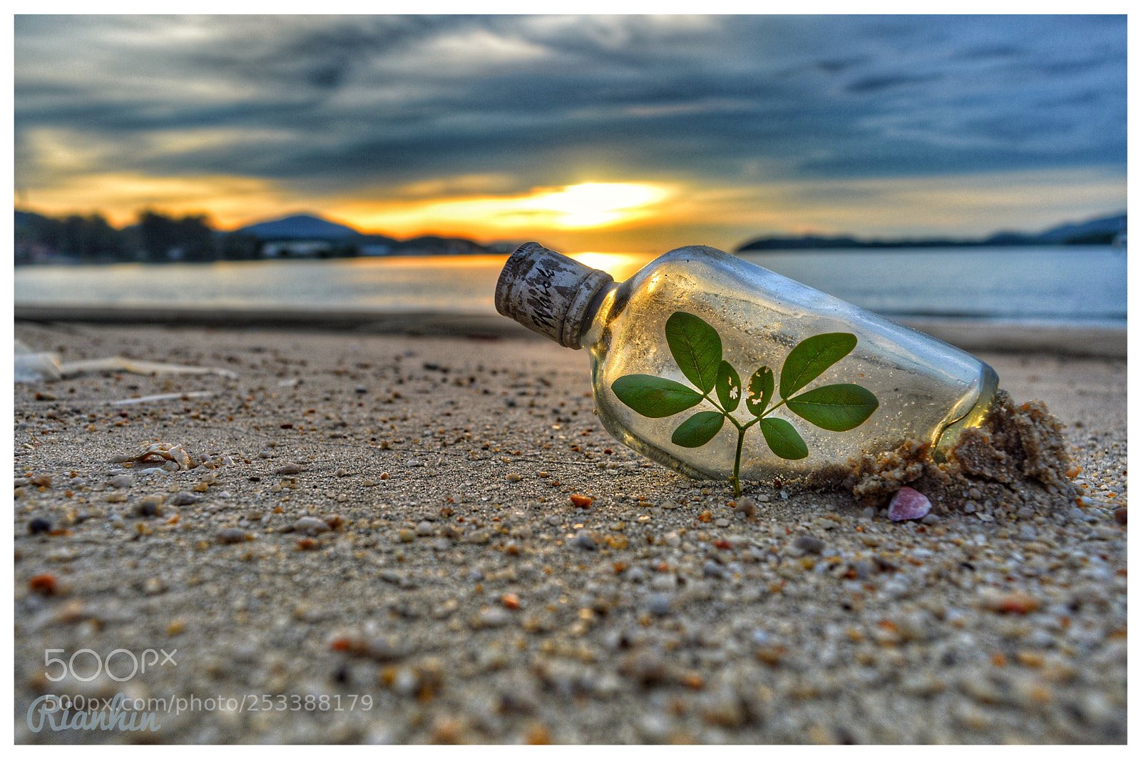 Nikon D3200 sample photo. Untitled photography