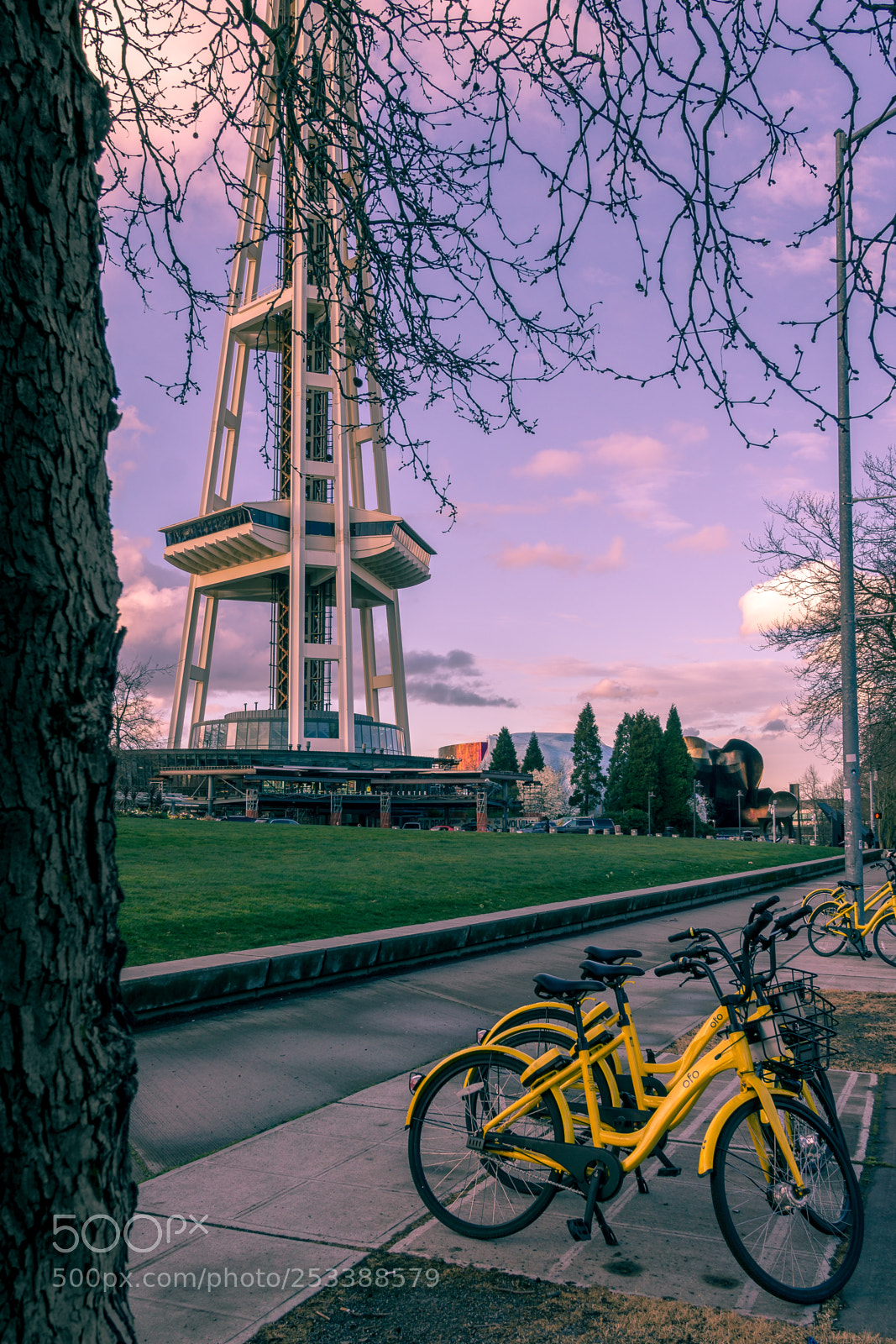 Sony a6000 sample photo. Space nedle photography