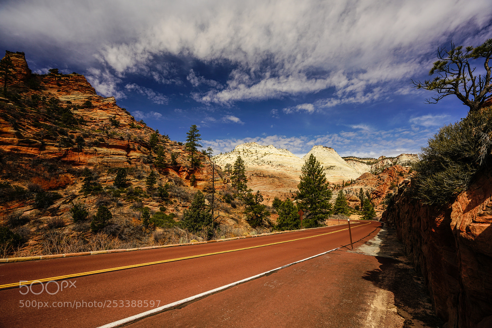 Sony a7R II sample photo. Views at zion national photography