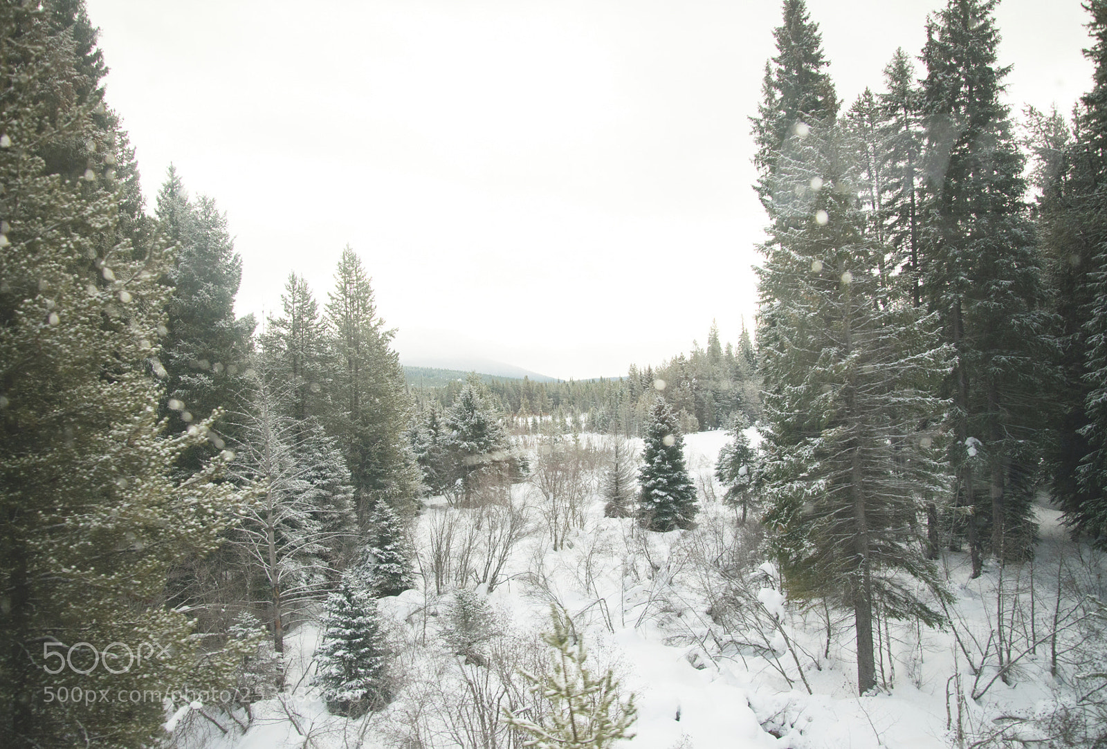 Nikon D600 sample photo. The clearing erich boehm photography