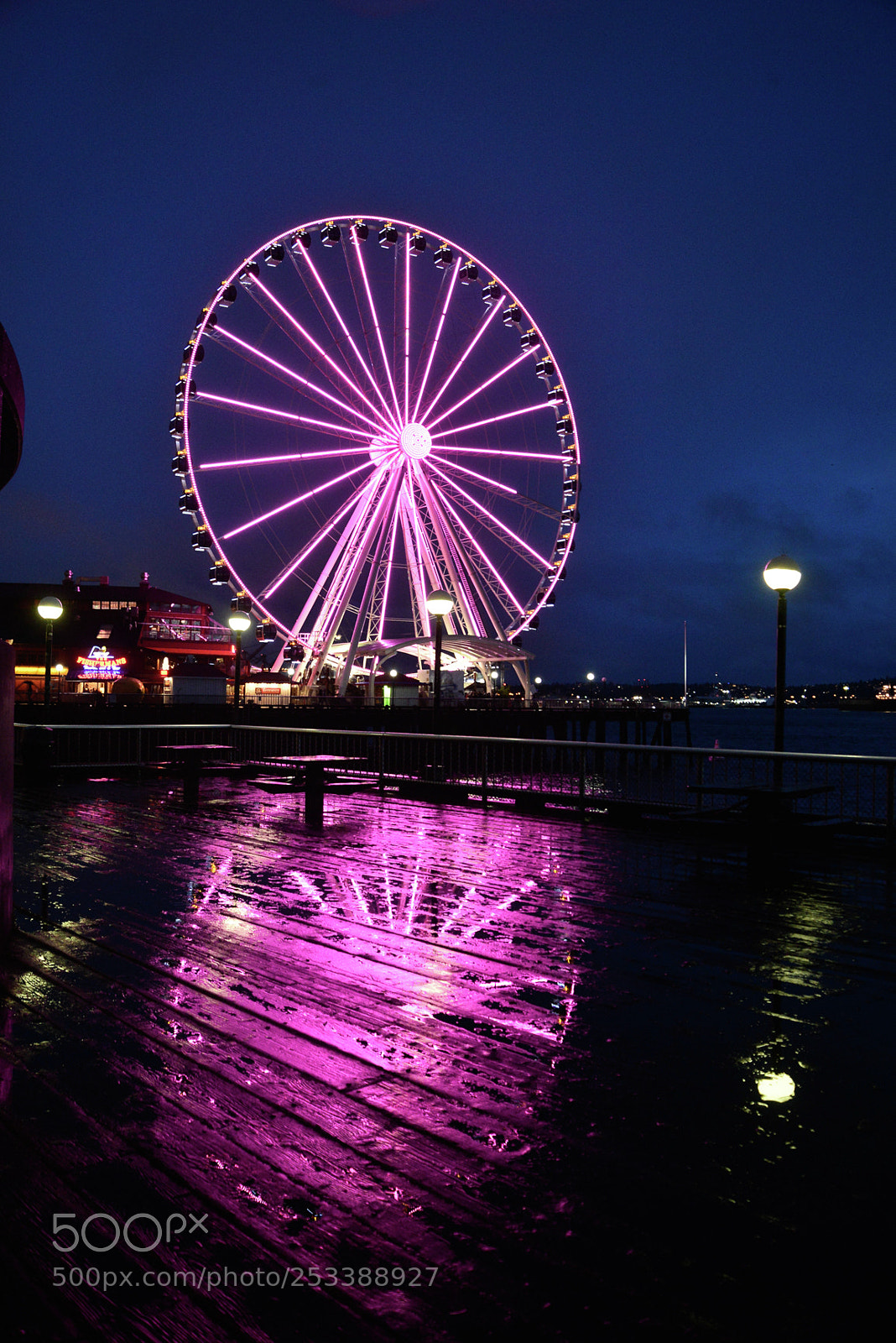 Nikon D600 sample photo. Wheel of dreams erich photography