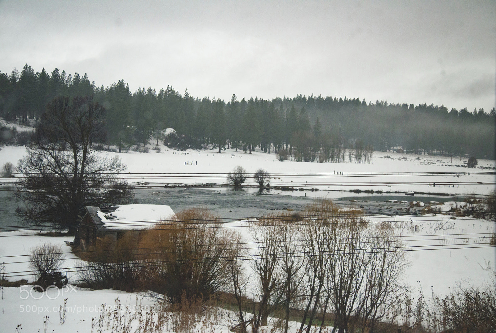 Nikon D600 sample photo. Winter light erich boehm photography