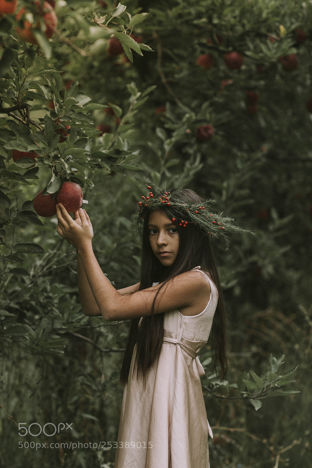 Canon EOS-1D X sample photo. Manzanas.... photography