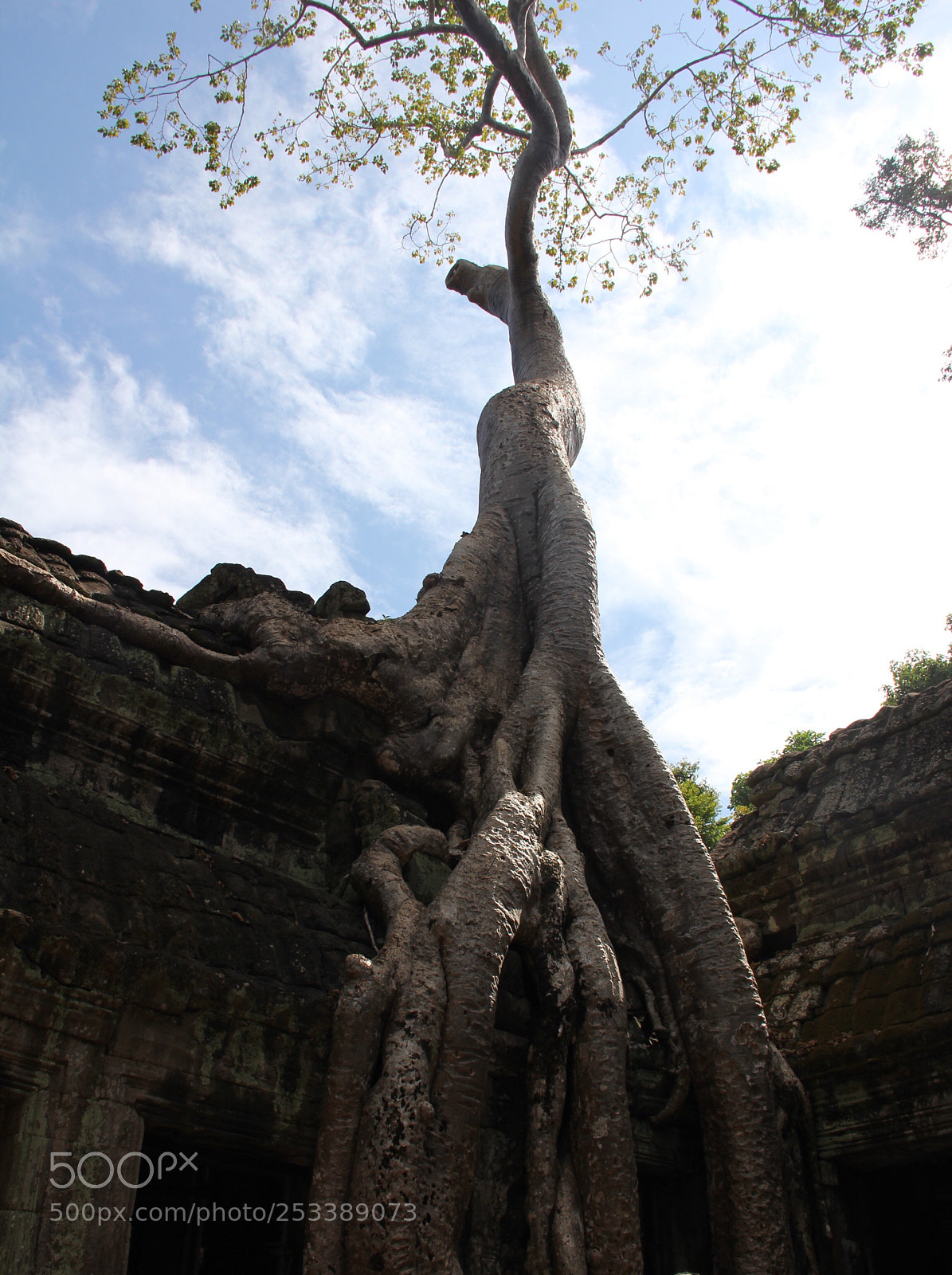 Canon EOS 60D sample photo. Angkor wat photography