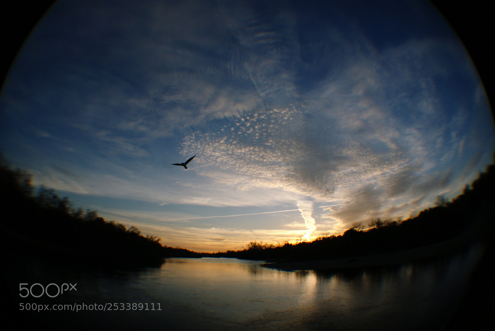 Sony Alpha DSLR-A200 sample photo. Sunset over american river photography